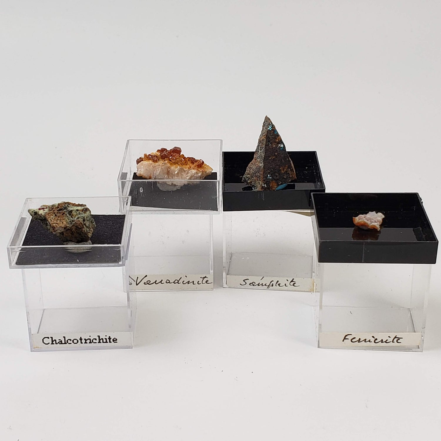 Mineral World Series Crystal Collection | Lot of 4 | Protective Display Box | Rare Premium Specimens