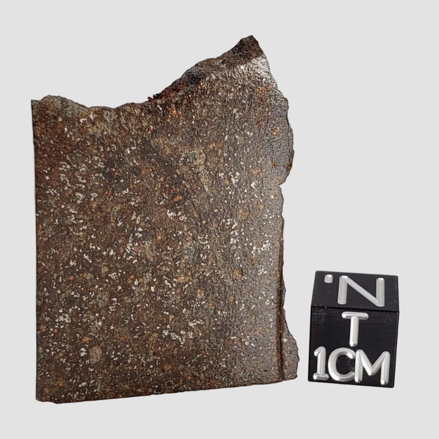 Sahara 97095 Meteorite | 9.27 Grams | slice | H5 Chondrite | Sahara