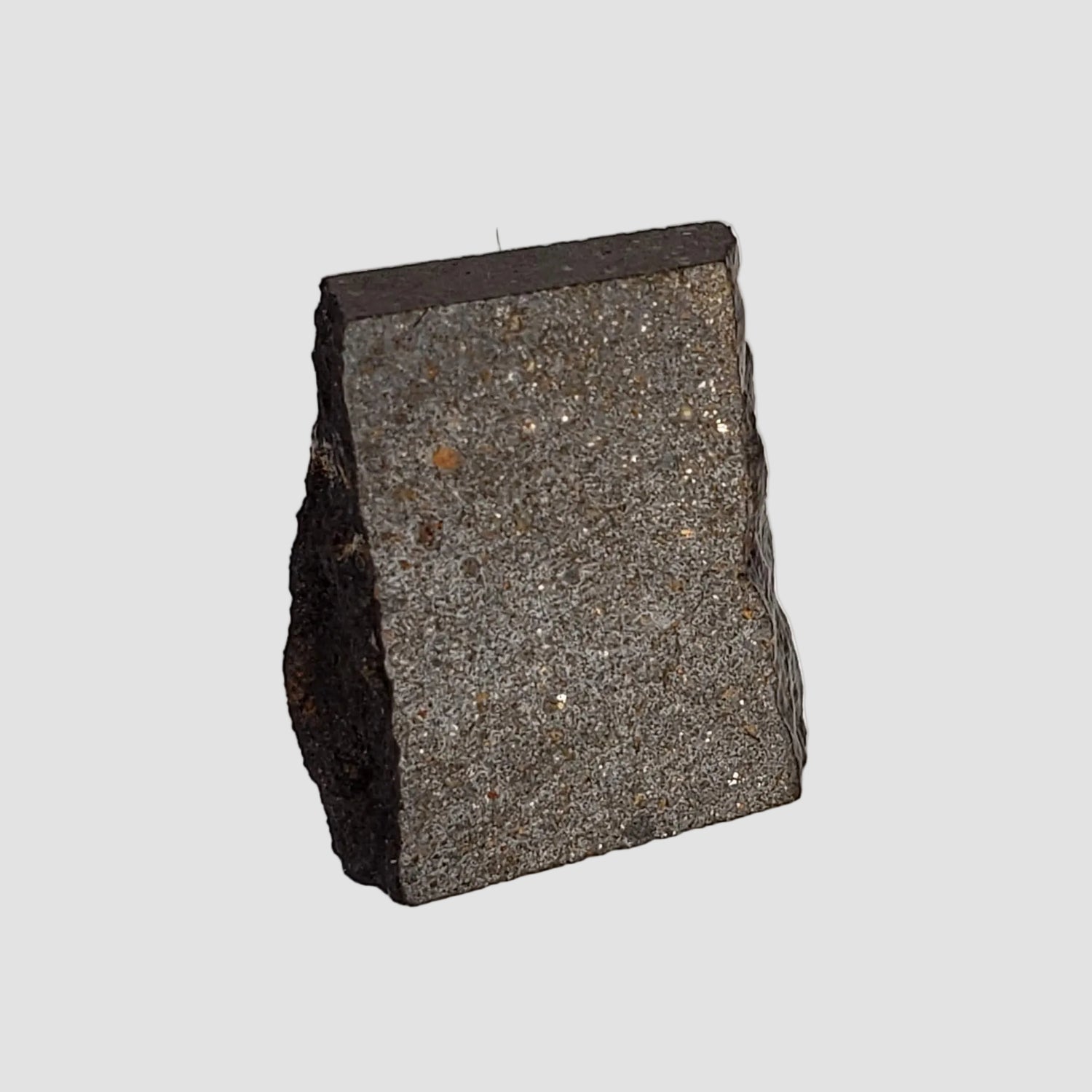 NWA 1277 Meteorite | 2.5 Grams | Part Slice | Rare CO3.6 Carbonaceous | Morocco