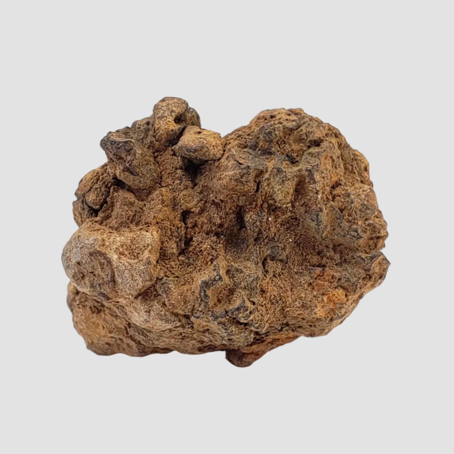 Sericho Meteorite | 27 Grams | As found Individual | MG Pallasite | Kenya Africa