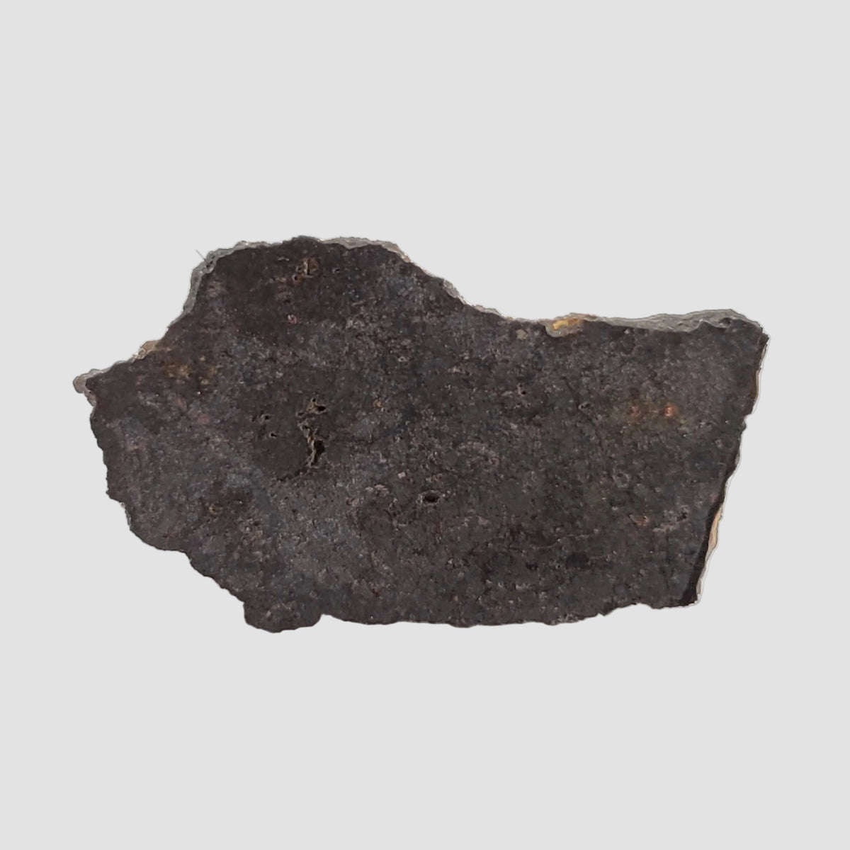  Tsarev Meteorite | 1.49 Grams | Slice | L5 Chondrite | Fell Dec 1922 | Volgograd Region, Russia 3