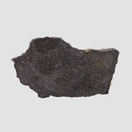  Tsarev Meteorite | 1.49 Grams | Slice | L5 Chondrite | Fell Dec 1922 | Volgograd Region, Russia 3