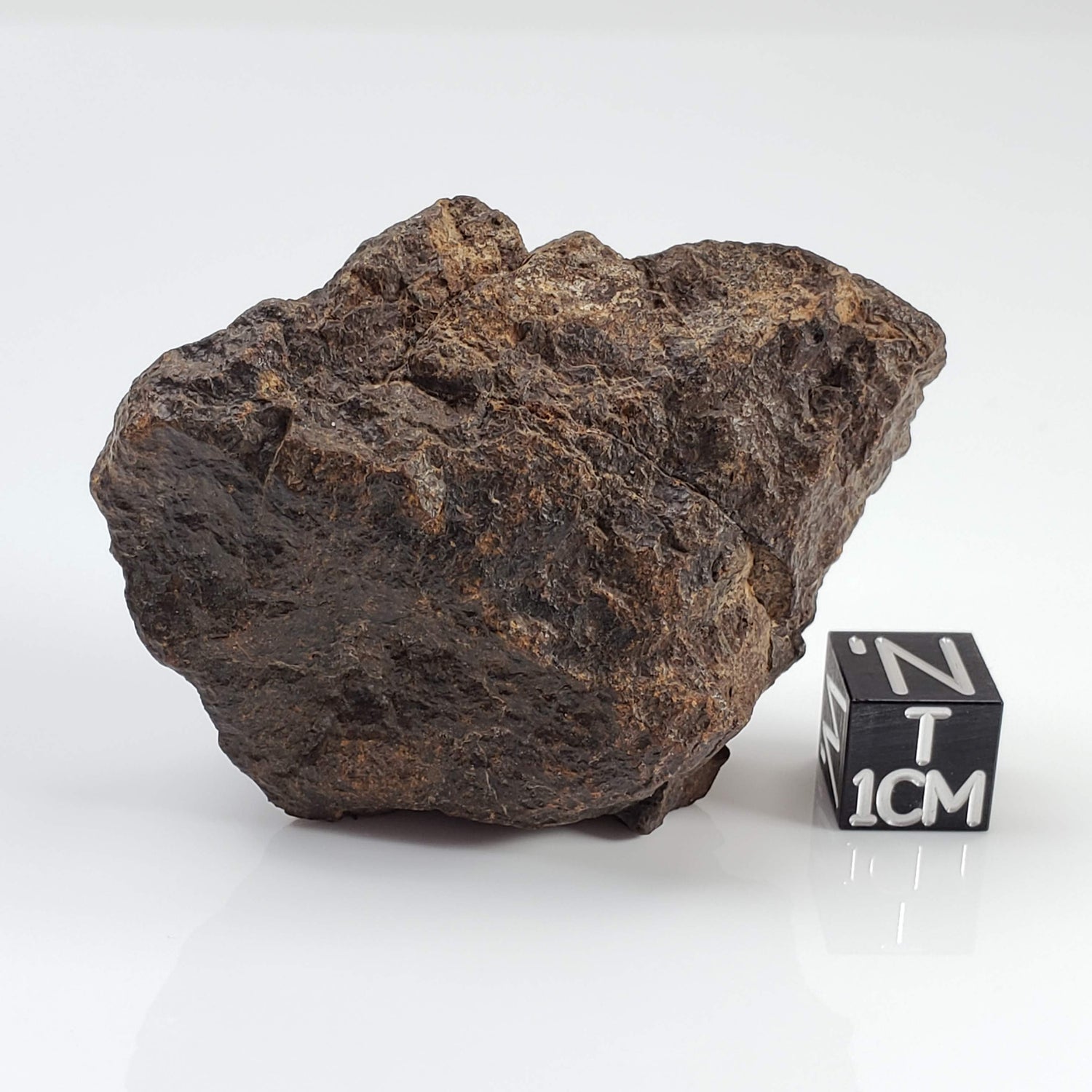Northwest Africa NWA Meteorite | 66.3 Grams | Individual Fragment | Sahara