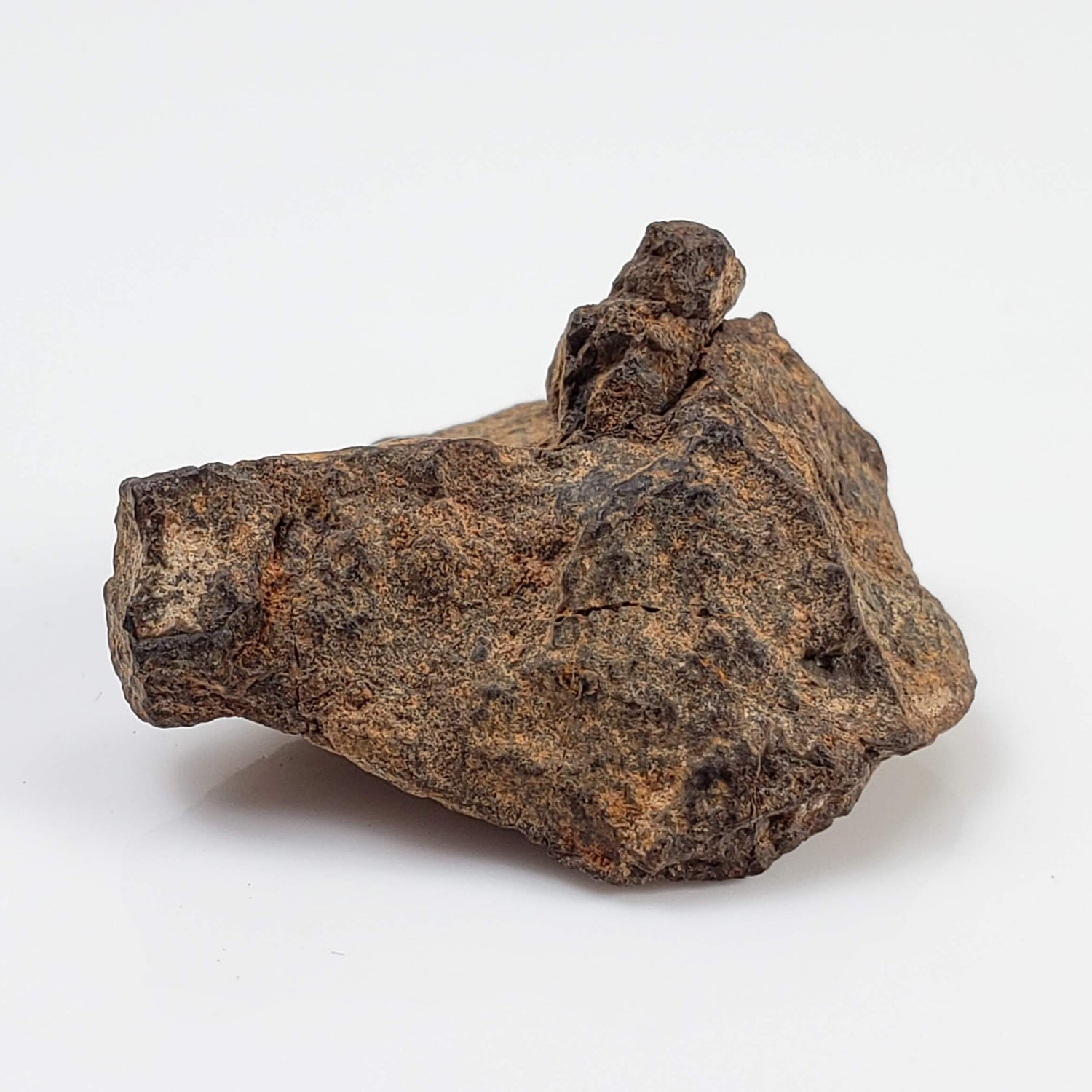 NWA 267 Meteorite | 6.03 Grams | H4 Chondrite | First Used in Legal Tender Coin | Sahara