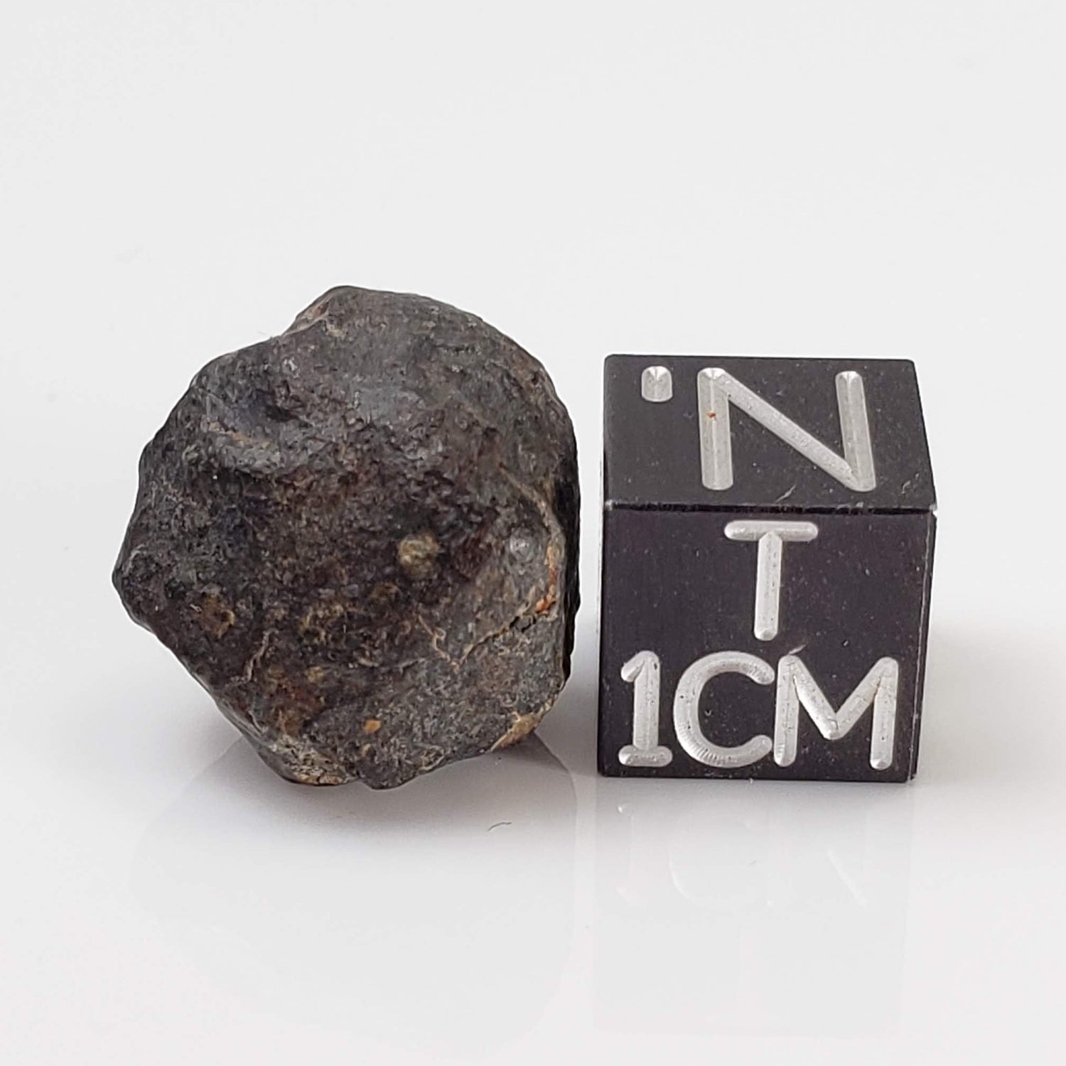 NWA 869 Meteorite | 3.76 Gr | Individual | L3-6 Chondrite | Crusted Specimen