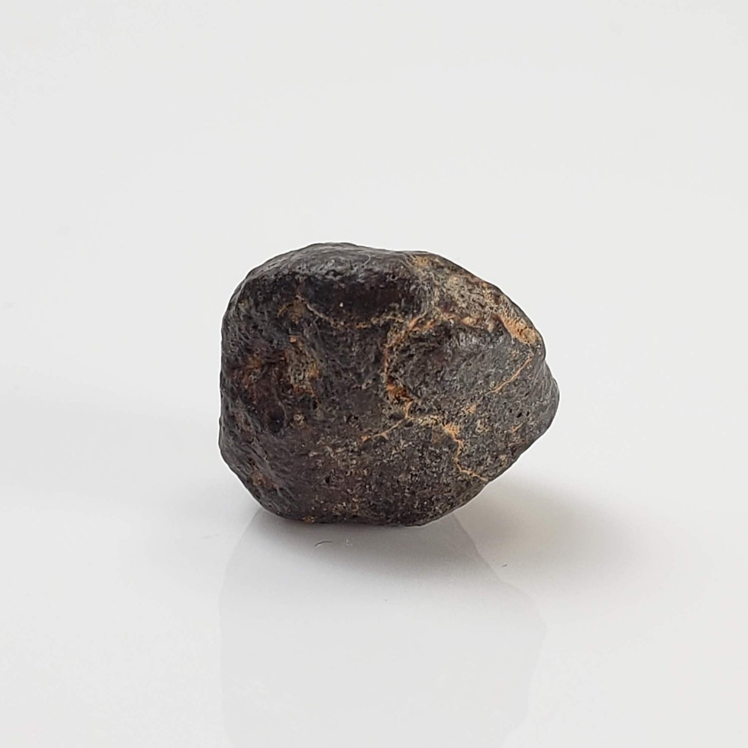 NWA 869 Meteorite | 3.76 Gr | Individual | L3-6 Chondrite | Crusted Specimen