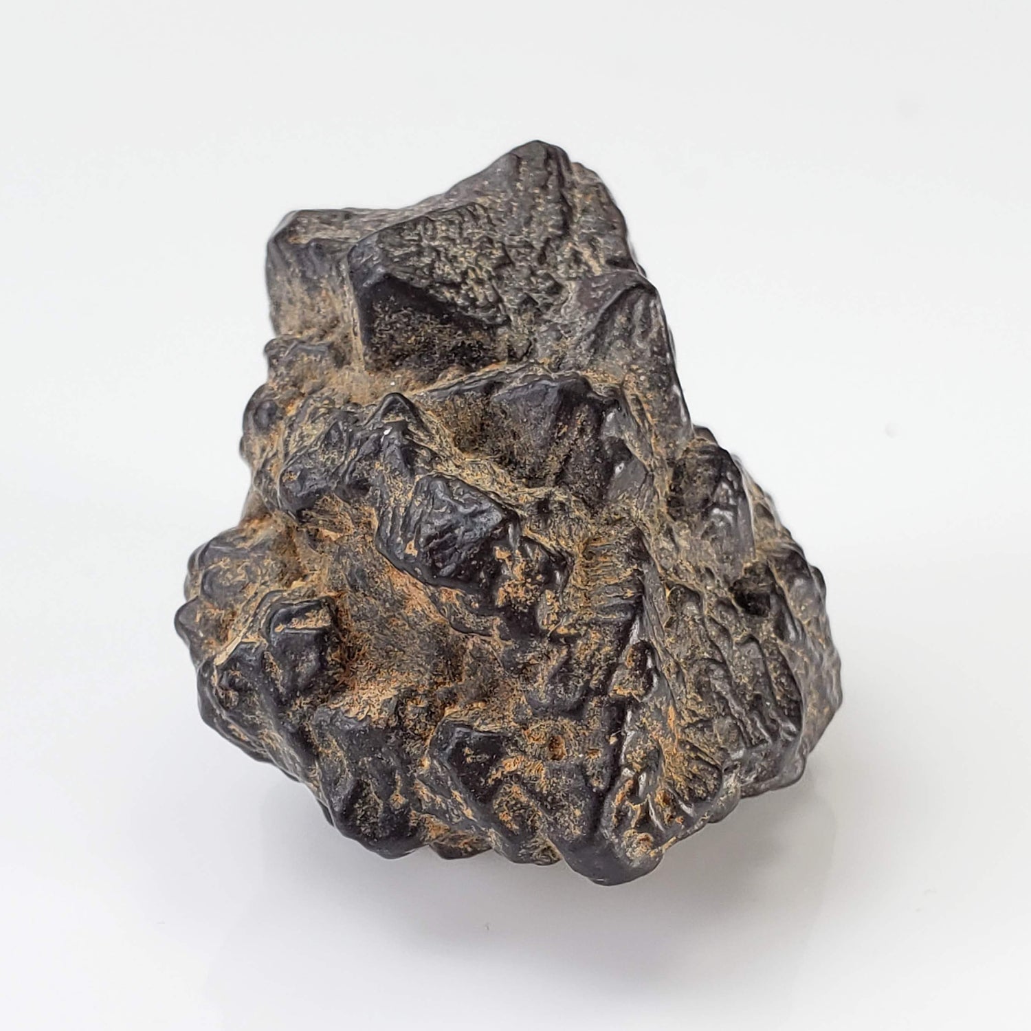 Pseudomorph Goethite After Marcasite | Prophecy Stone | 42gr | Farafra Oasis, Egypt