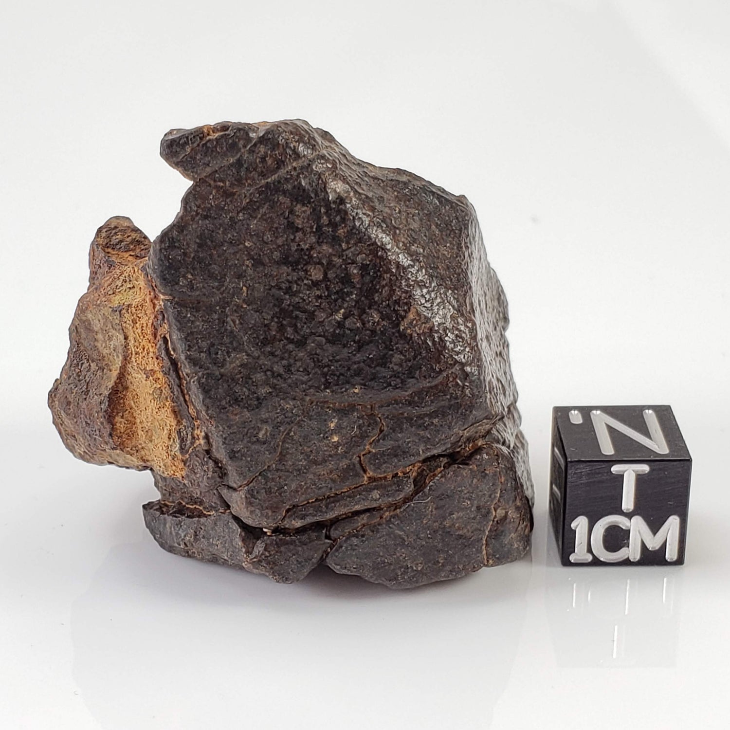 Northwest Africa NWA Meteorite | 65 Grams | Individual Fragment | Sahara