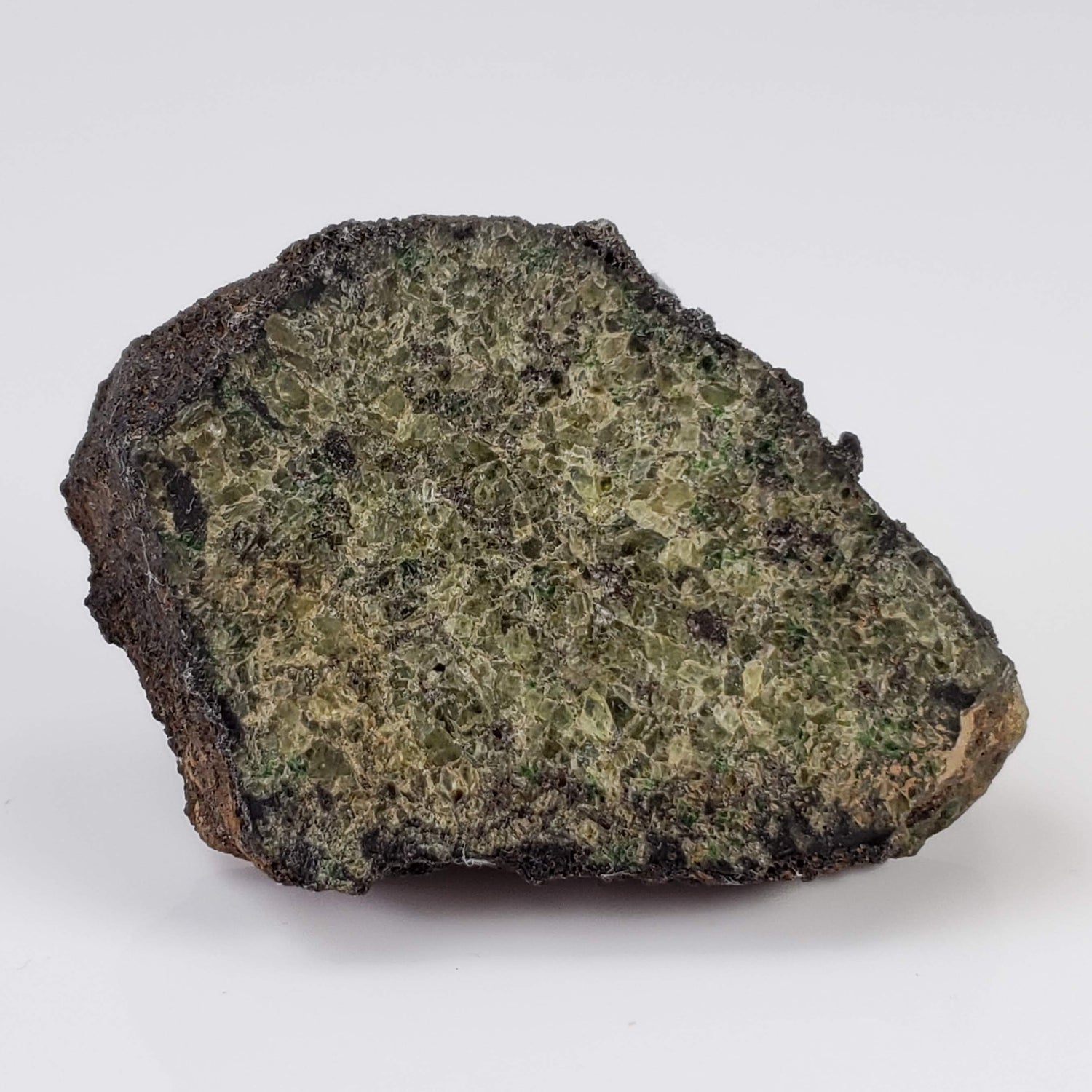 Olivine Volcanic Bomb | Lava Rock Crystal | 58.6 gr Slice | Mt Shadwell Volcano, Australia