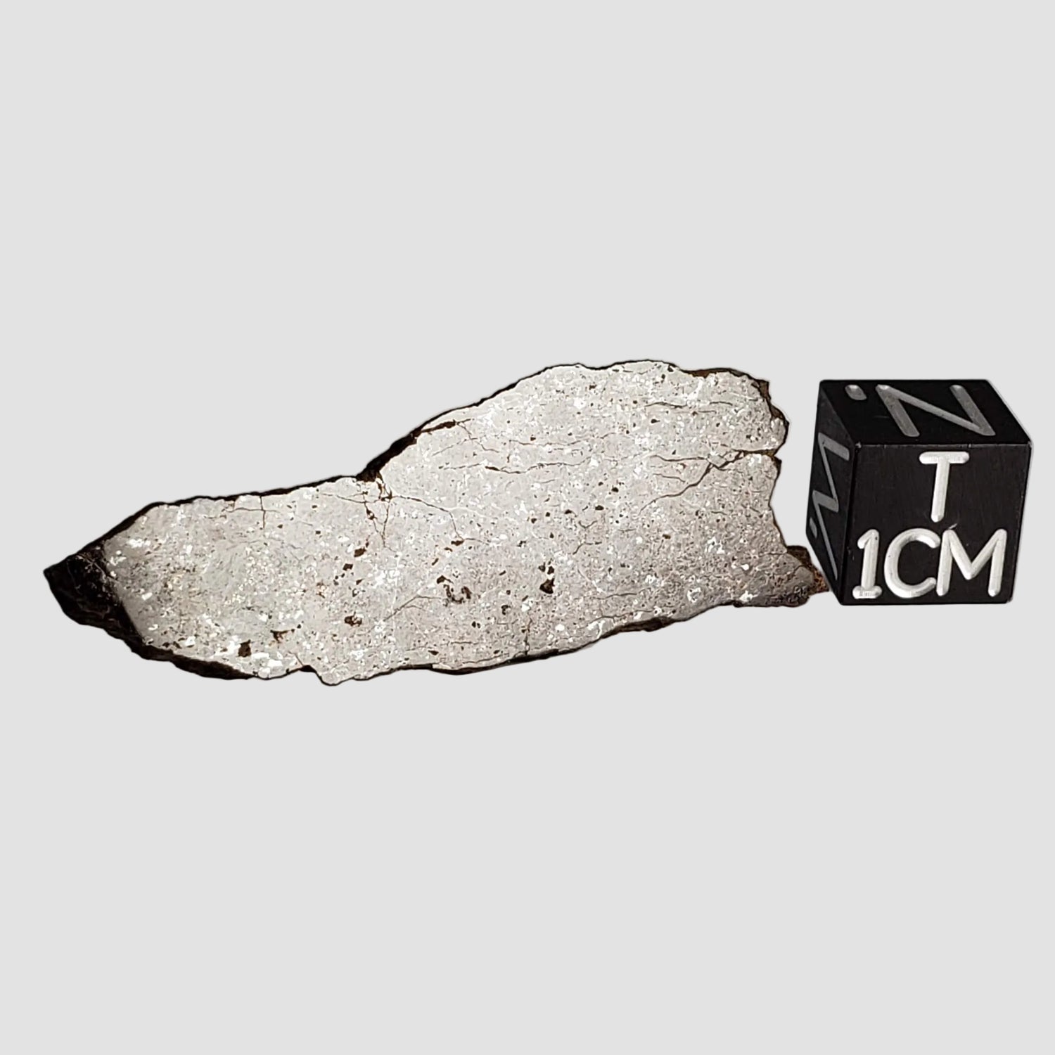Shişr 010 Meteorite | 5.6 Grams | Slice | L5 Chondrite | Rare | Shişr Desert, Oman