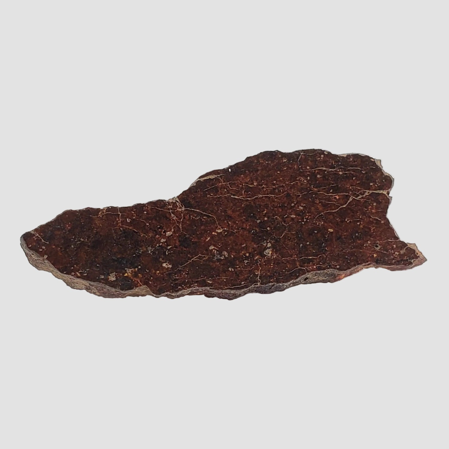 Shişr 010 Meteorite | 5.6 Grams | Slice | L5 Chondrite | Rare | Shişr Desert, Oman