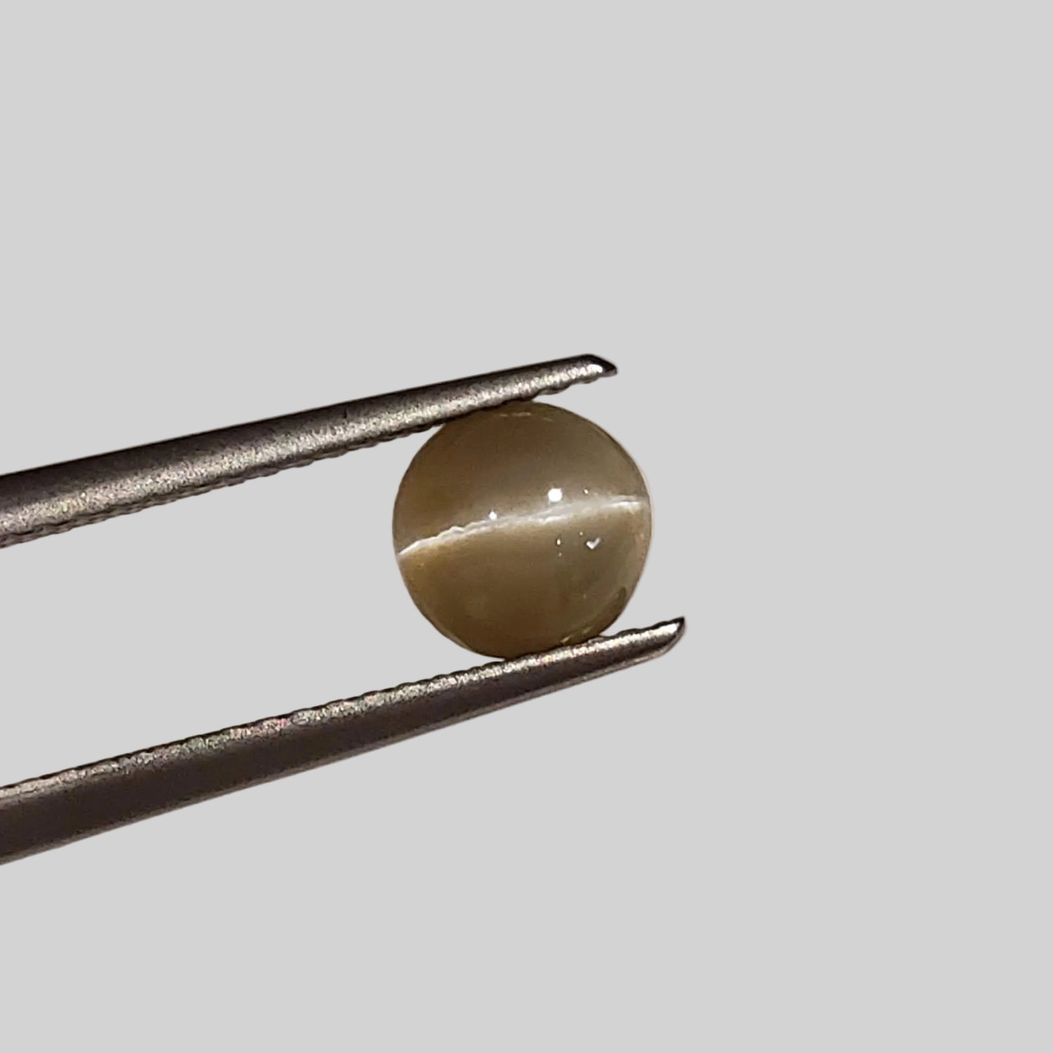 Chrysoberyl Cats Eye | Round Cabochon | Yellow | 6.5mm 1.1ct