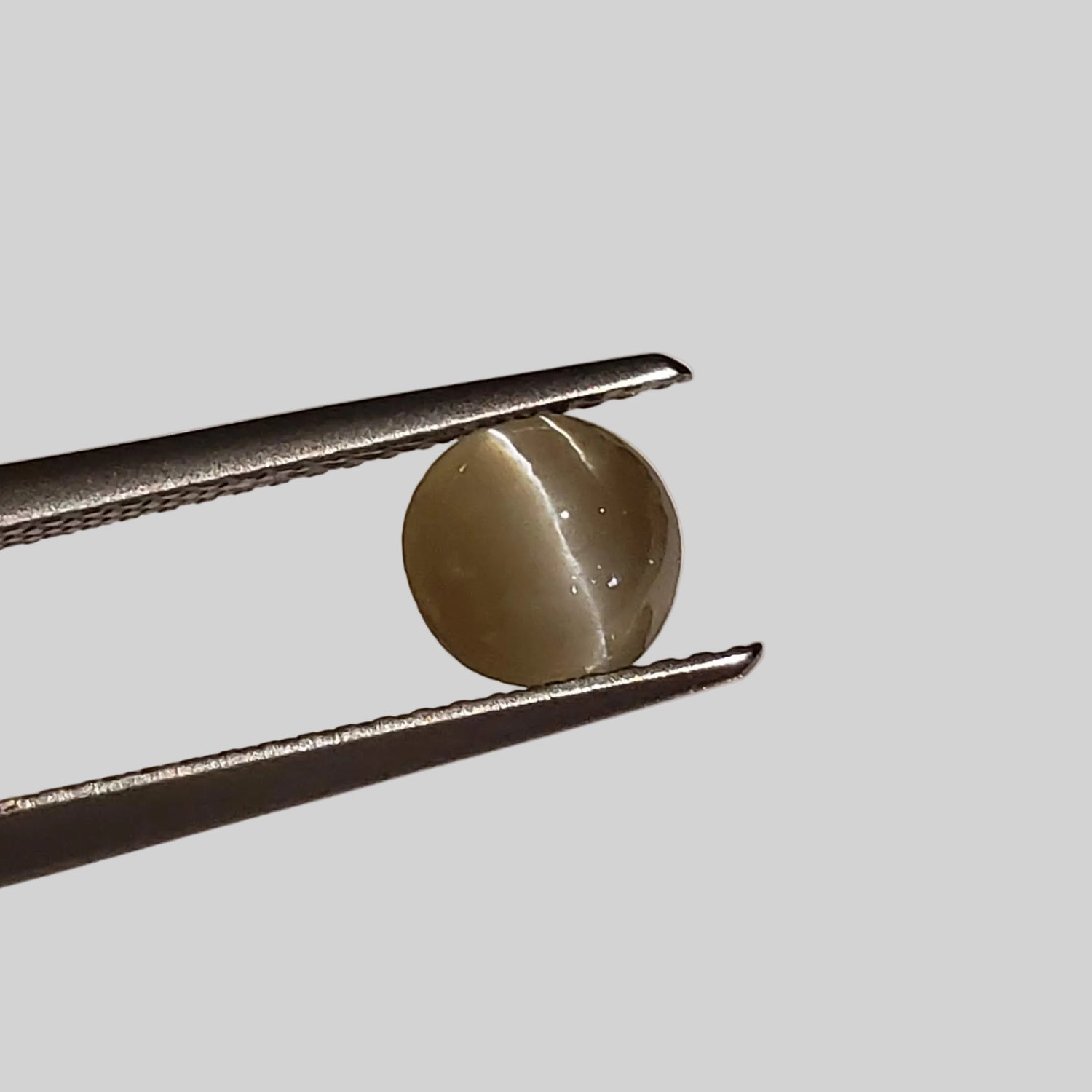 Chrysoberyl Cats Eye | Round Cabochon | Yellow | 6.5mm 1.1ct