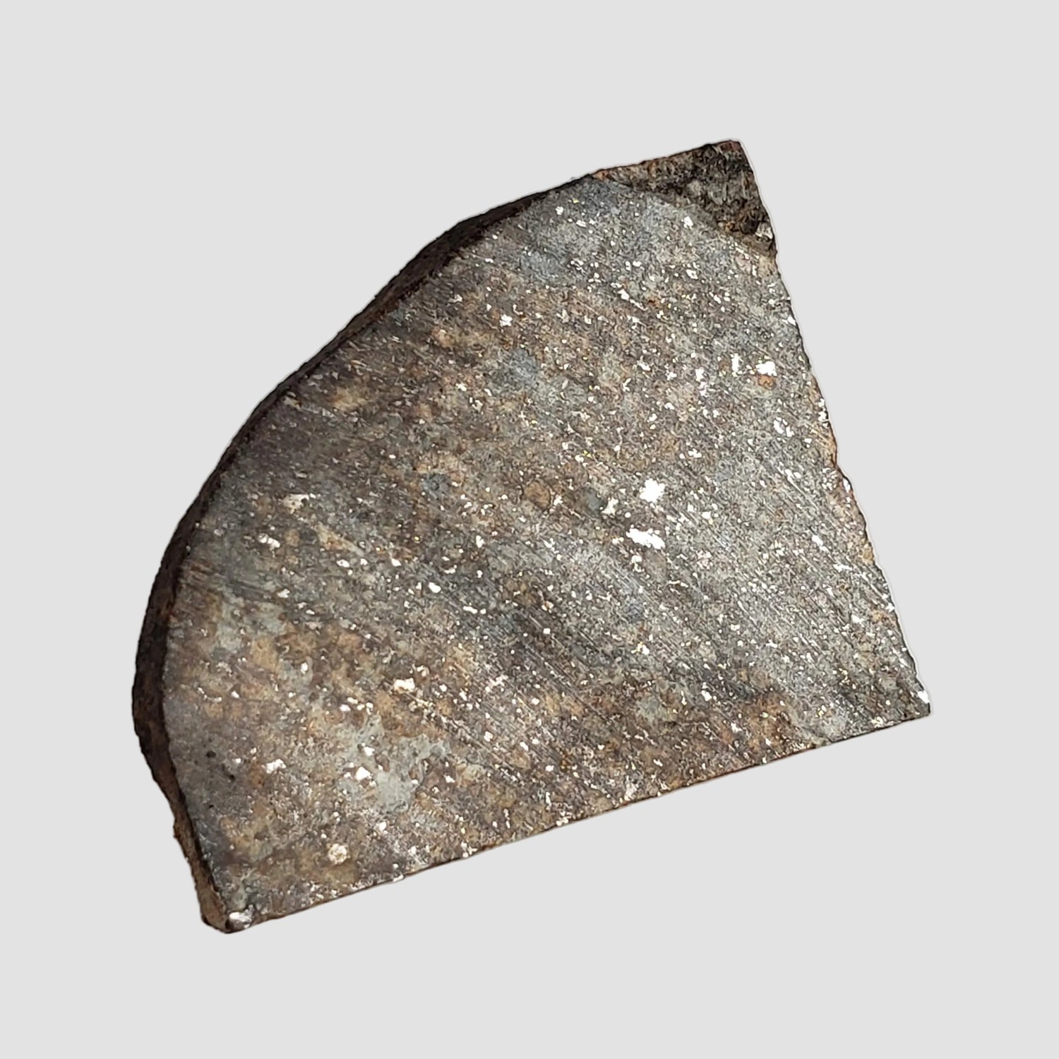 NWA 2857 Meteorite | 11.3 grams | Part Slice | L4 | Sahara Desert