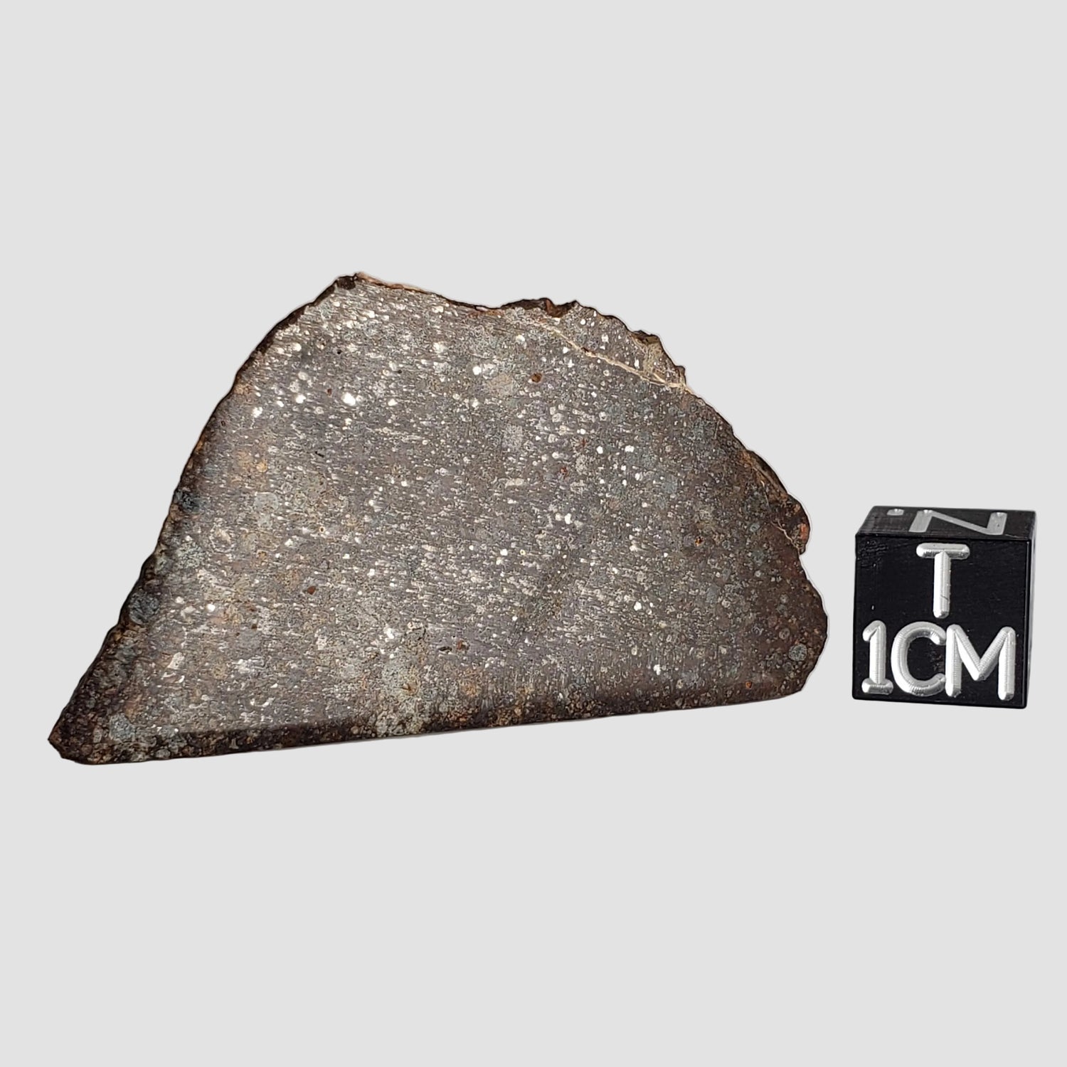 Météorite NWA 787 | 17,37 g | Tranche partielle | Chondrite L3-6 | Maroc