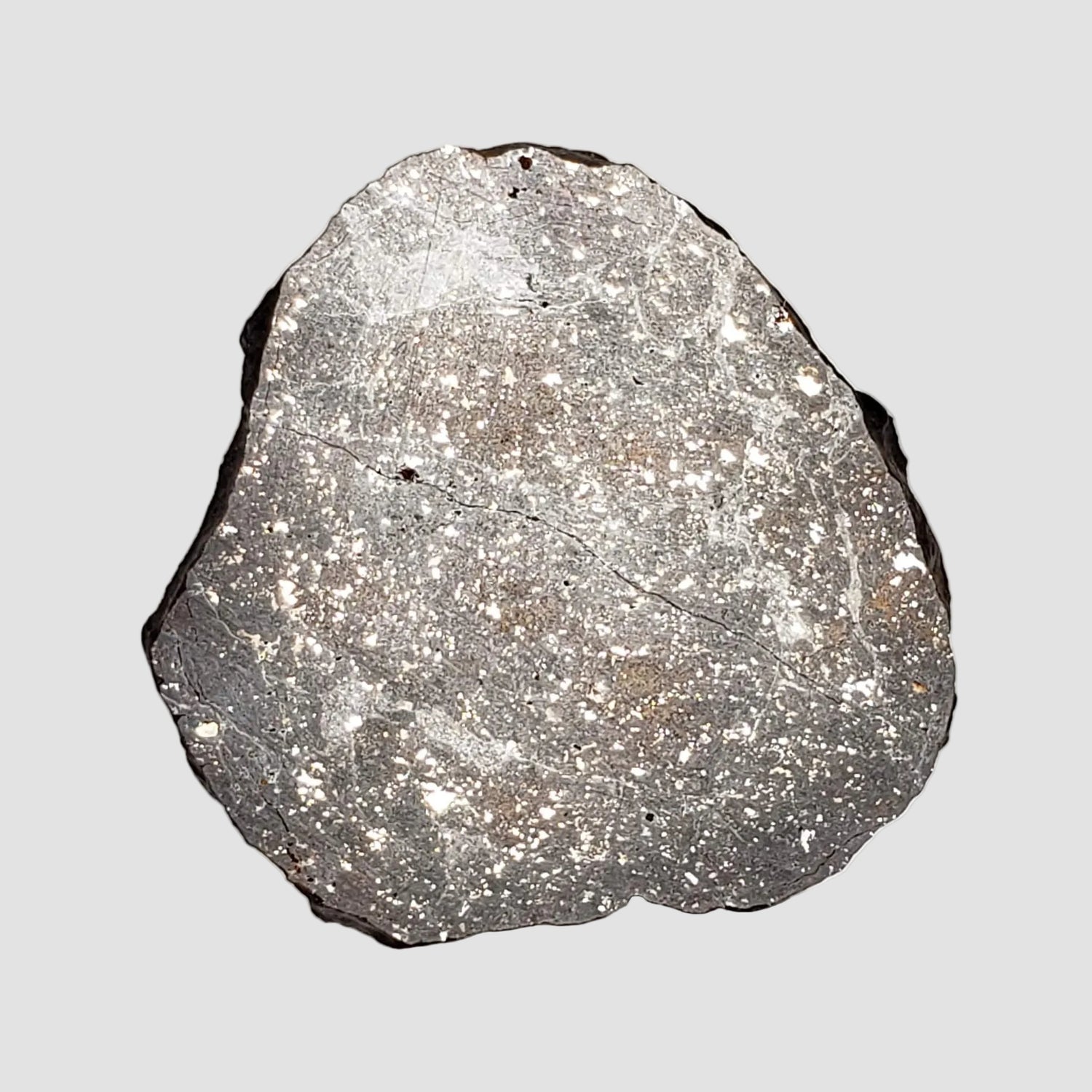 NWA 2779 Meteorite | 7.9 Gr | Slice | L5 Chondrite | Northwest Africa