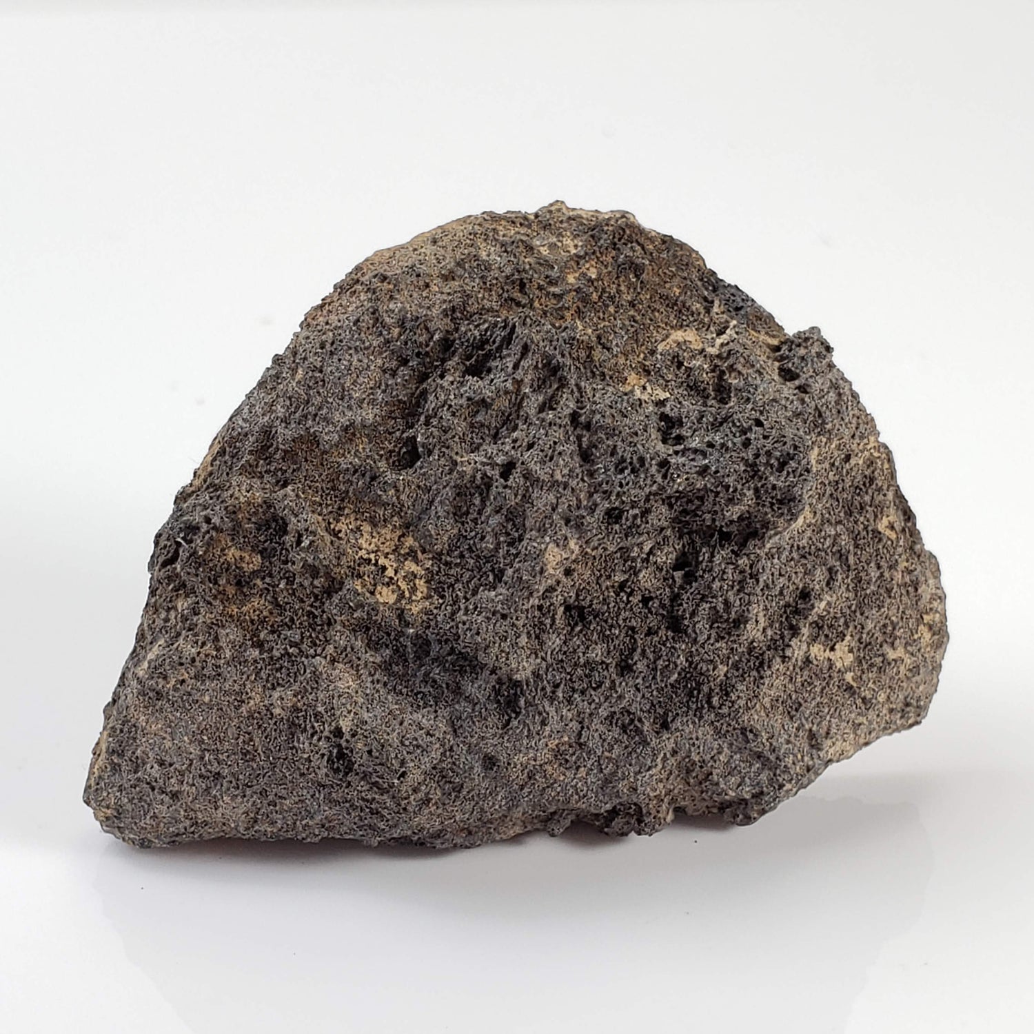 Olivine Volcanic Bomb | Lava Rock Crystal | 32.5 gr | Mt Shadwell Volcano, Australia