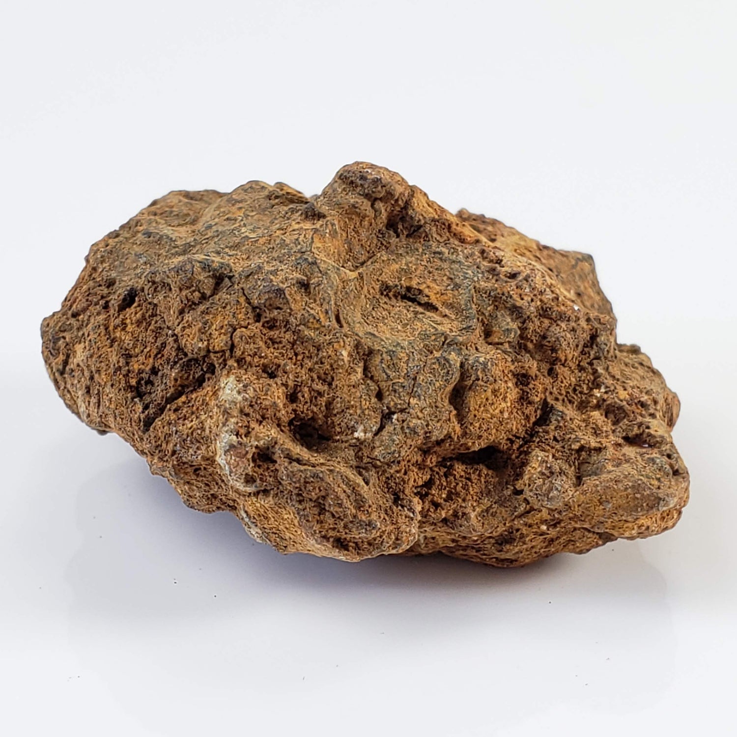 Sericho Meteorite | 20.6 Grams | As found Individual | MG Pallasite | Kenya