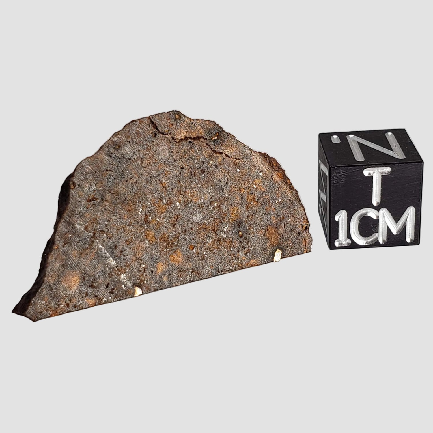 Tagounite 018 Meteorite | 2.72 grams | Part Slice with crust | L4 Chondrite | Low TKW | Morocco