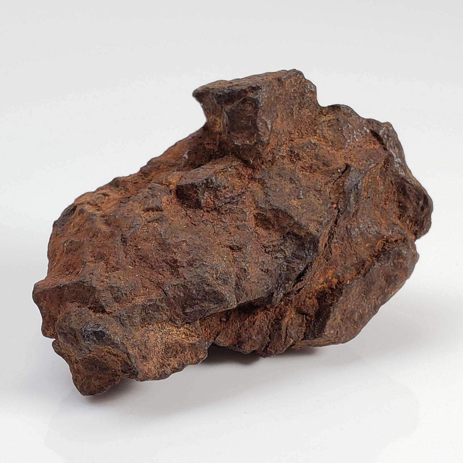 Northwest Africa NWA Meteorite | 51 Grams | Individual Fragment | Sahara
