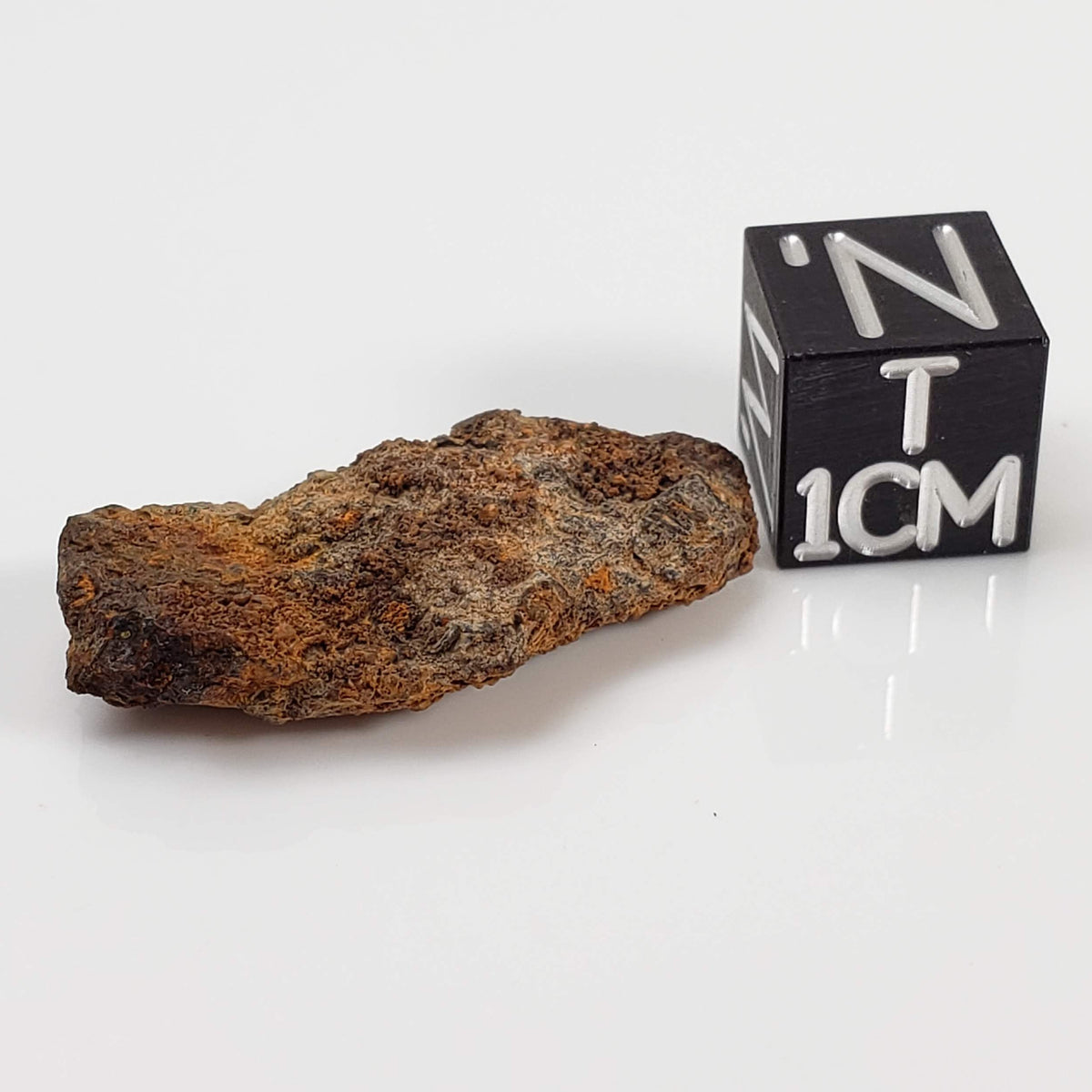 Vaca Muerta Meteorite | 4.29 Grams | Individual | Mesosiderite A1 | Famous | Chile