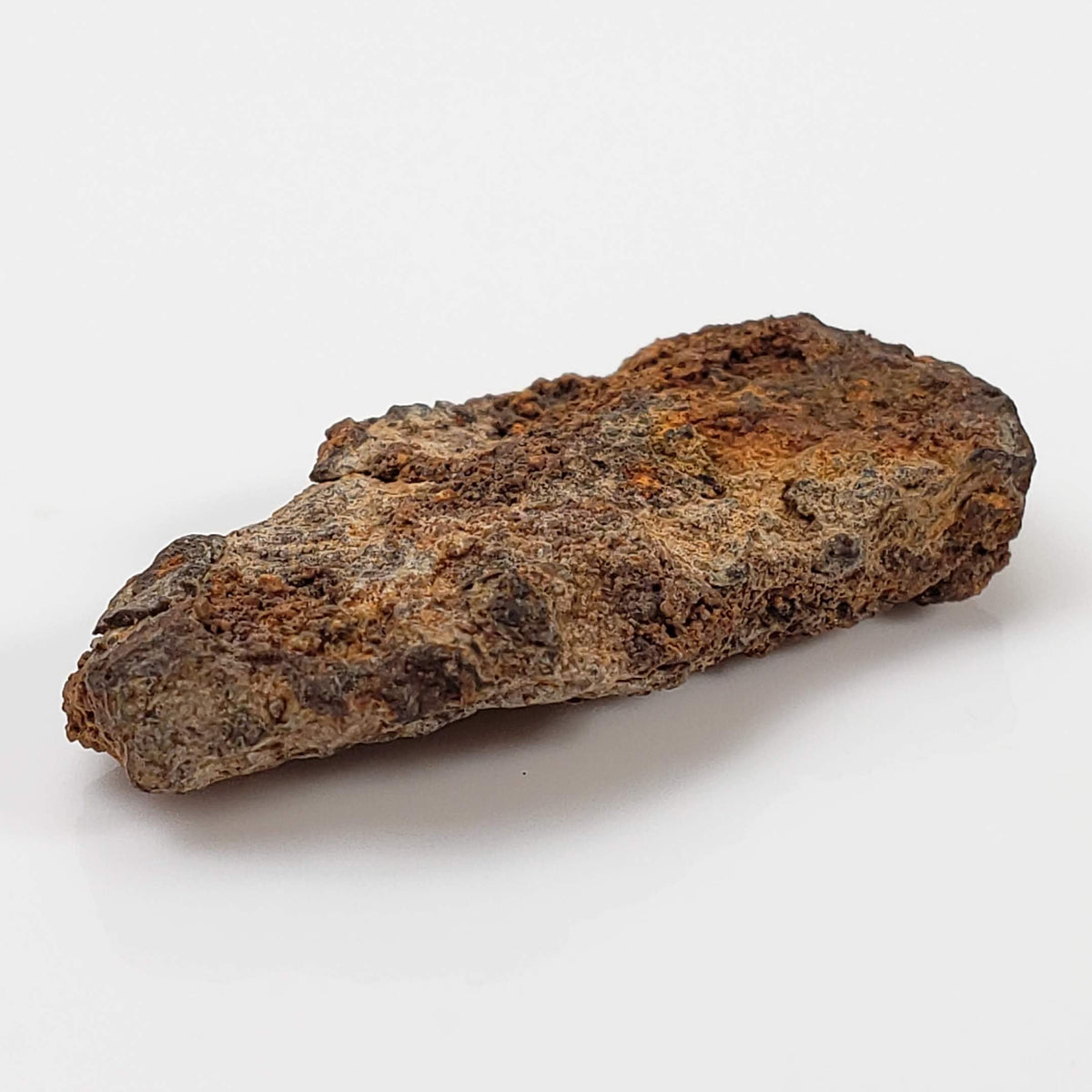 Vaca Muerta Meteorite | 4.29 Grams | Individual | Mesosiderite A1 | Famous | Chile