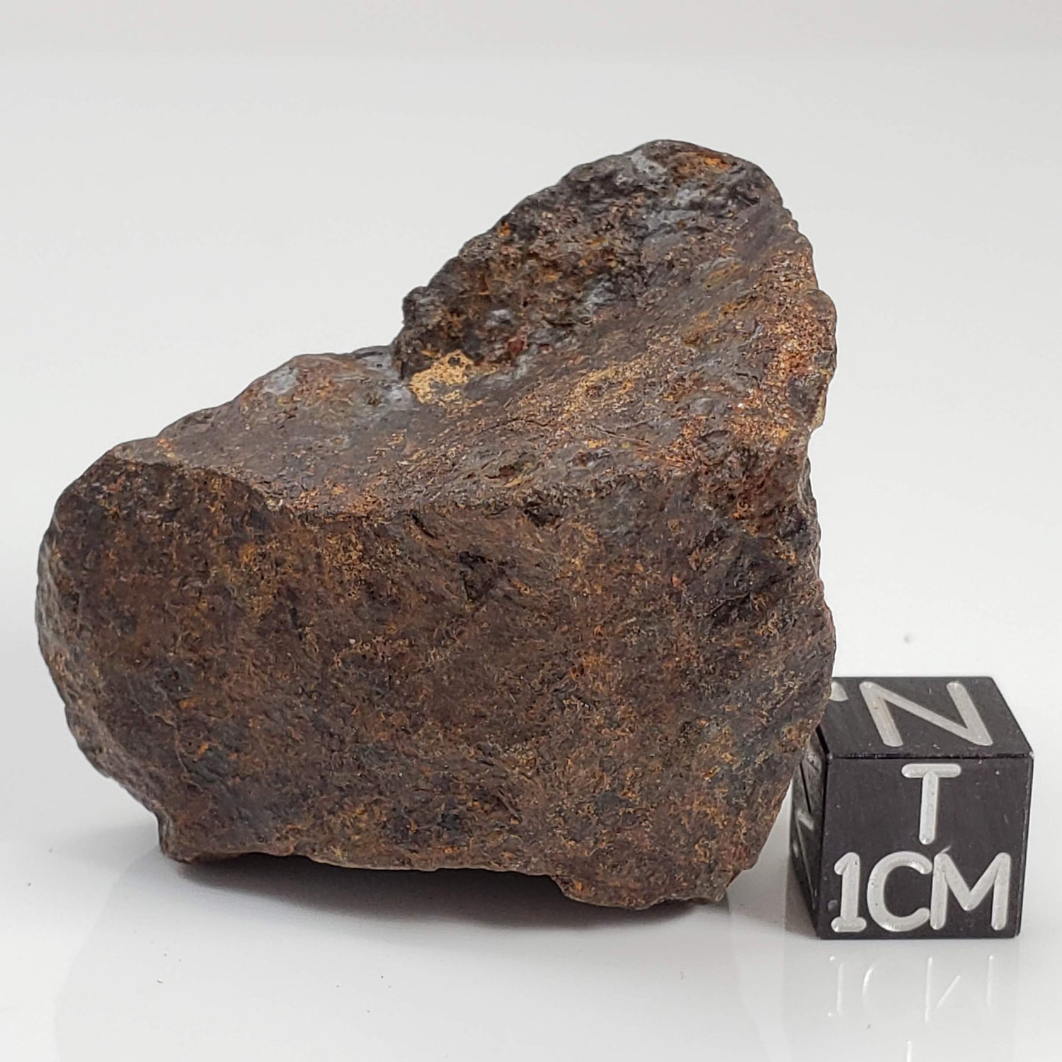 Northwest Africa NWA Meteorite | 60.5 Grams | Individual Fragment | Sahara