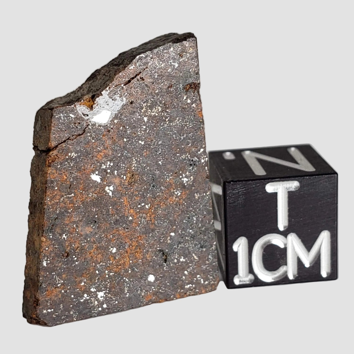 NWA 2863 Meteorite | 3.9 grams | Part Slice | L4 | Low TKW