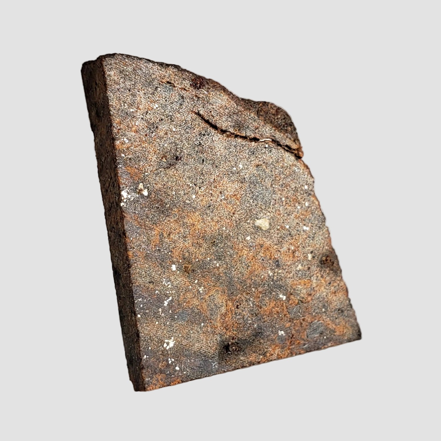 NWA 2863 Meteorite | 3.9 grams | Part Slice | L4 | Low TKW
