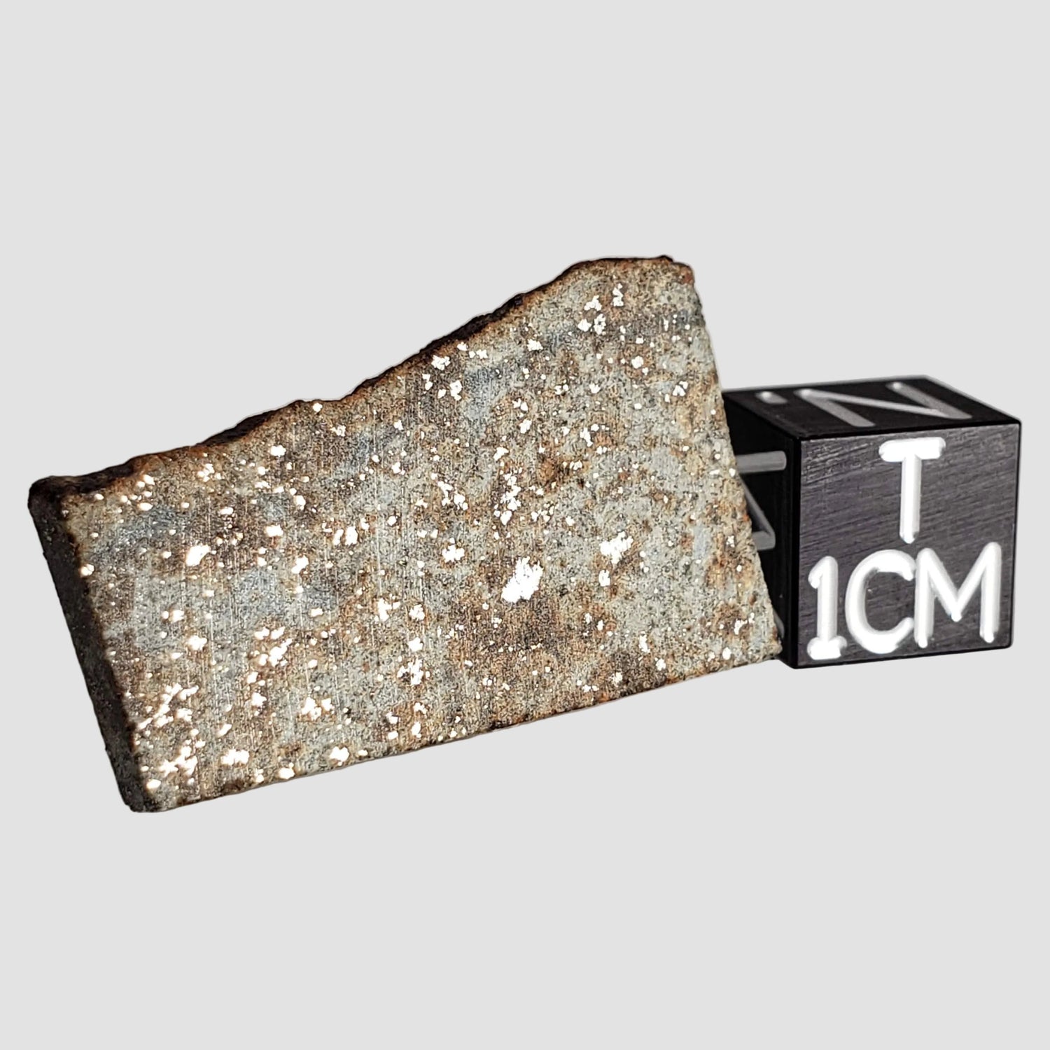 NWA 2848 Meteorite | 4.4 grams | Part Slice | L4 | Low TKW