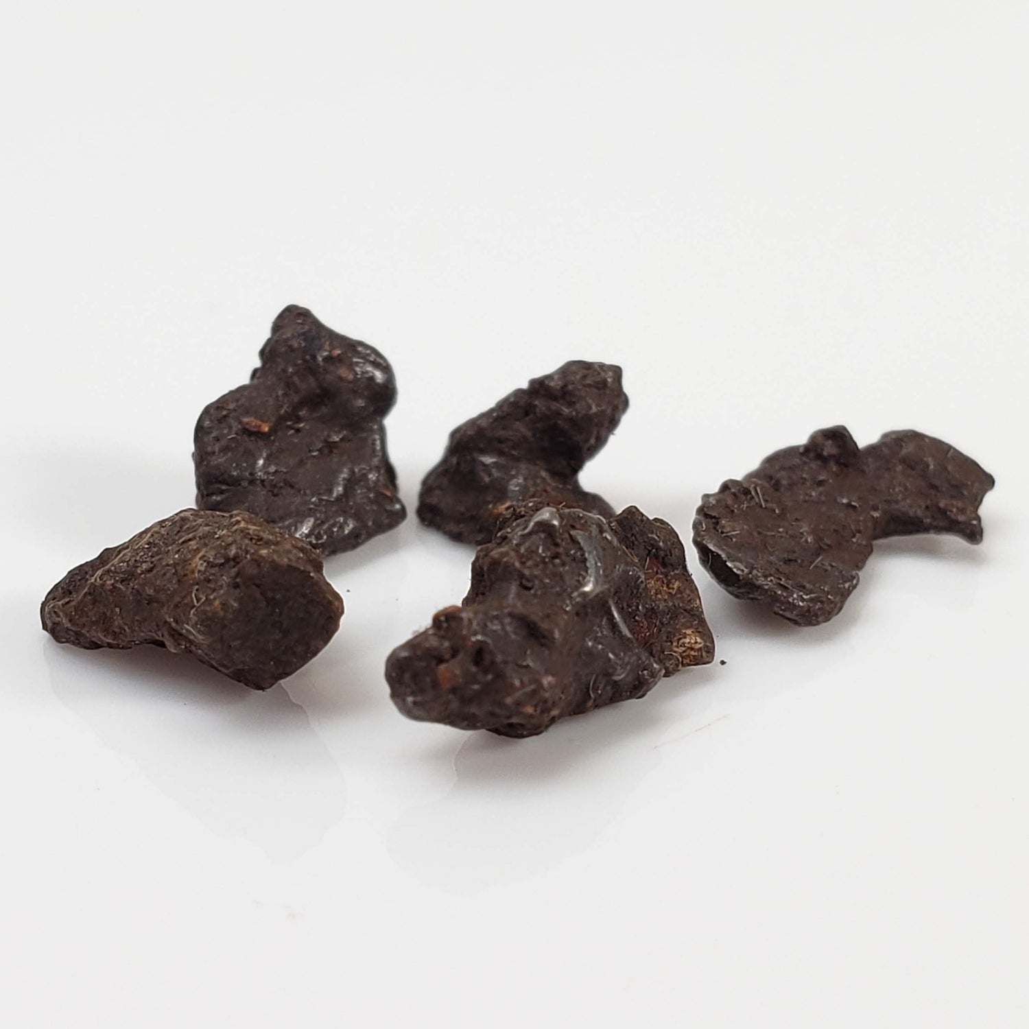 Sikhote-Alin Meteorite | 0.92 Grams | Micro | Iron IIAB | Shrapnel