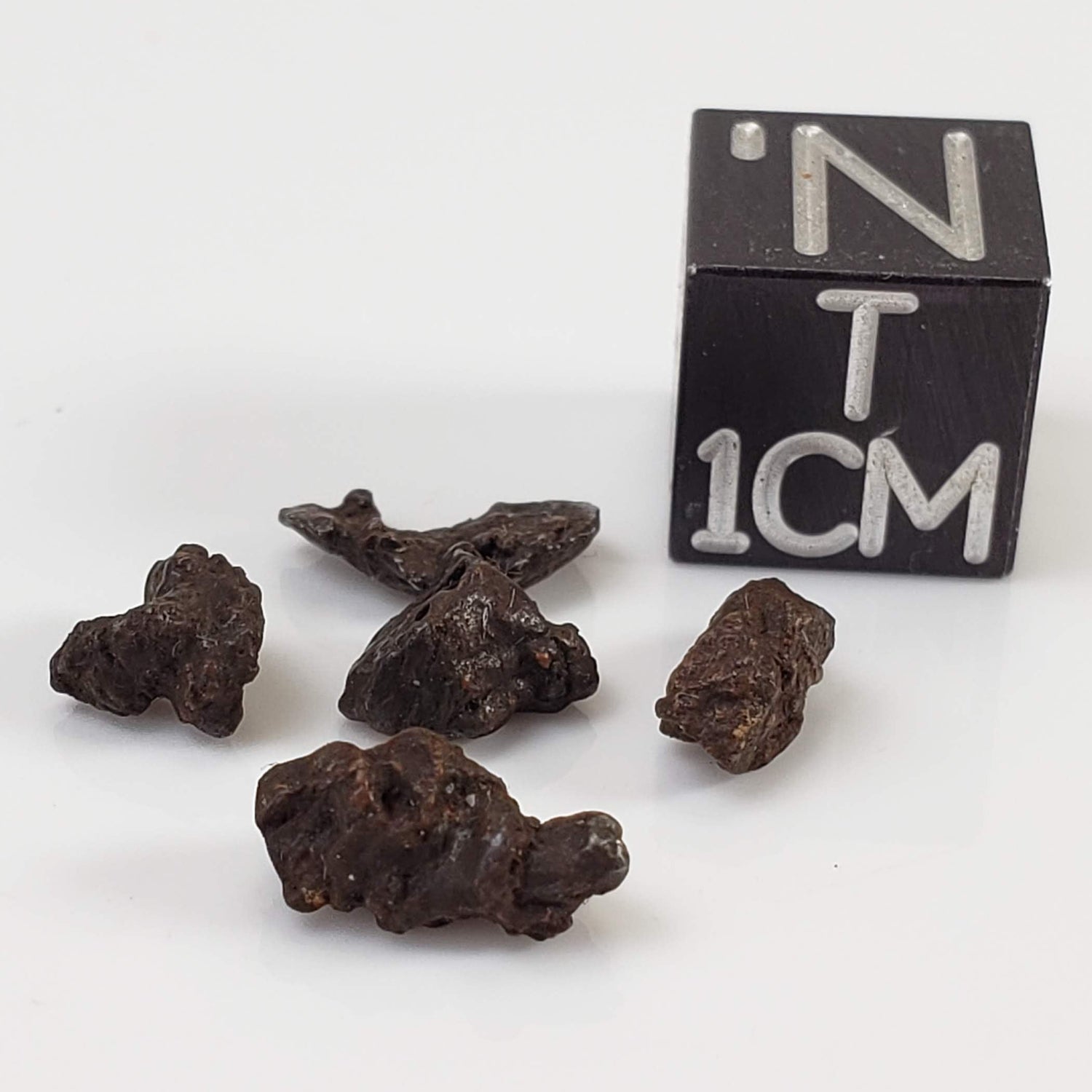 Sikhote-Alin Meteorite | 0.92 Grams | Micro | Iron IIAB | Shrapnel