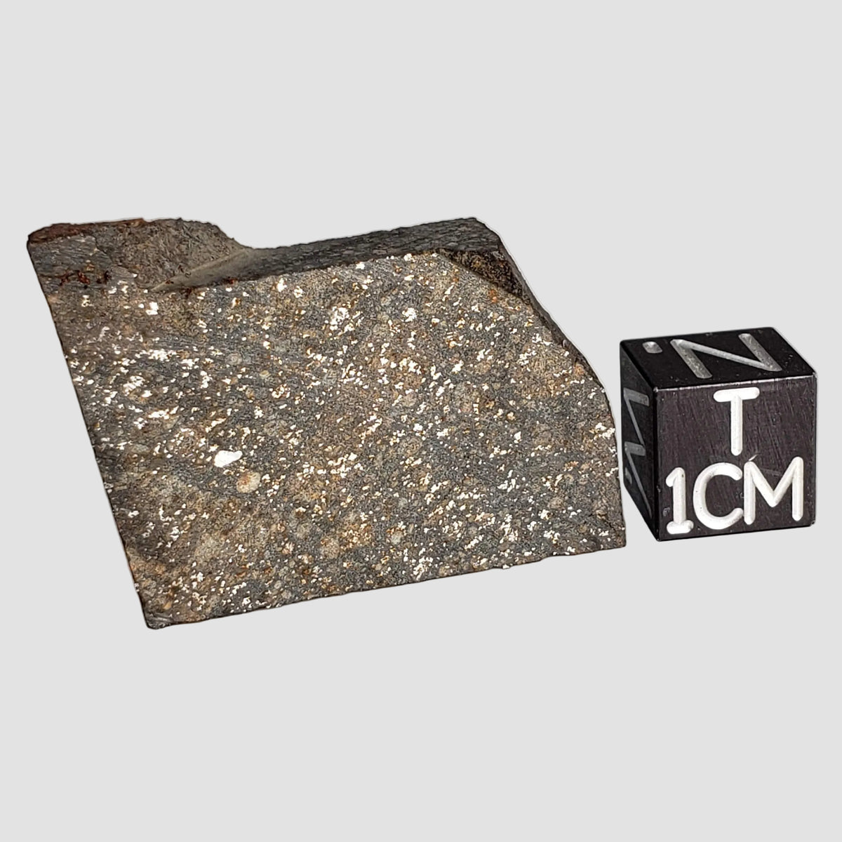 NWA 2859 Meteorite | 10.6 Grams | Part Slice | H4 | Sahara Desert