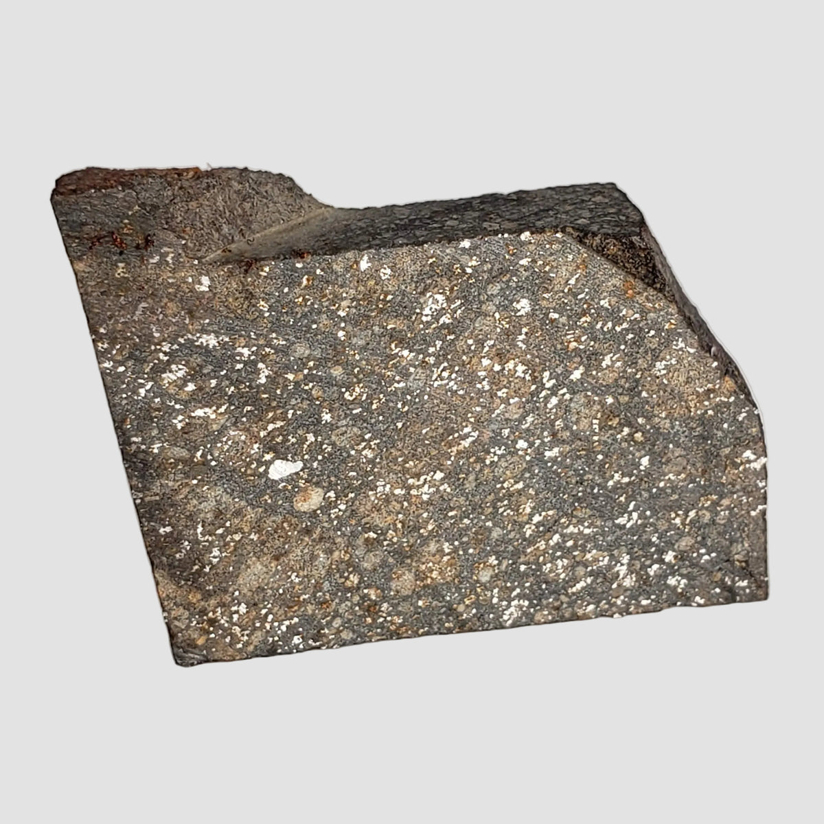 NWA 2859 Meteorite | 10.6 Grams | Part Slice | H4 | Sahara Desert