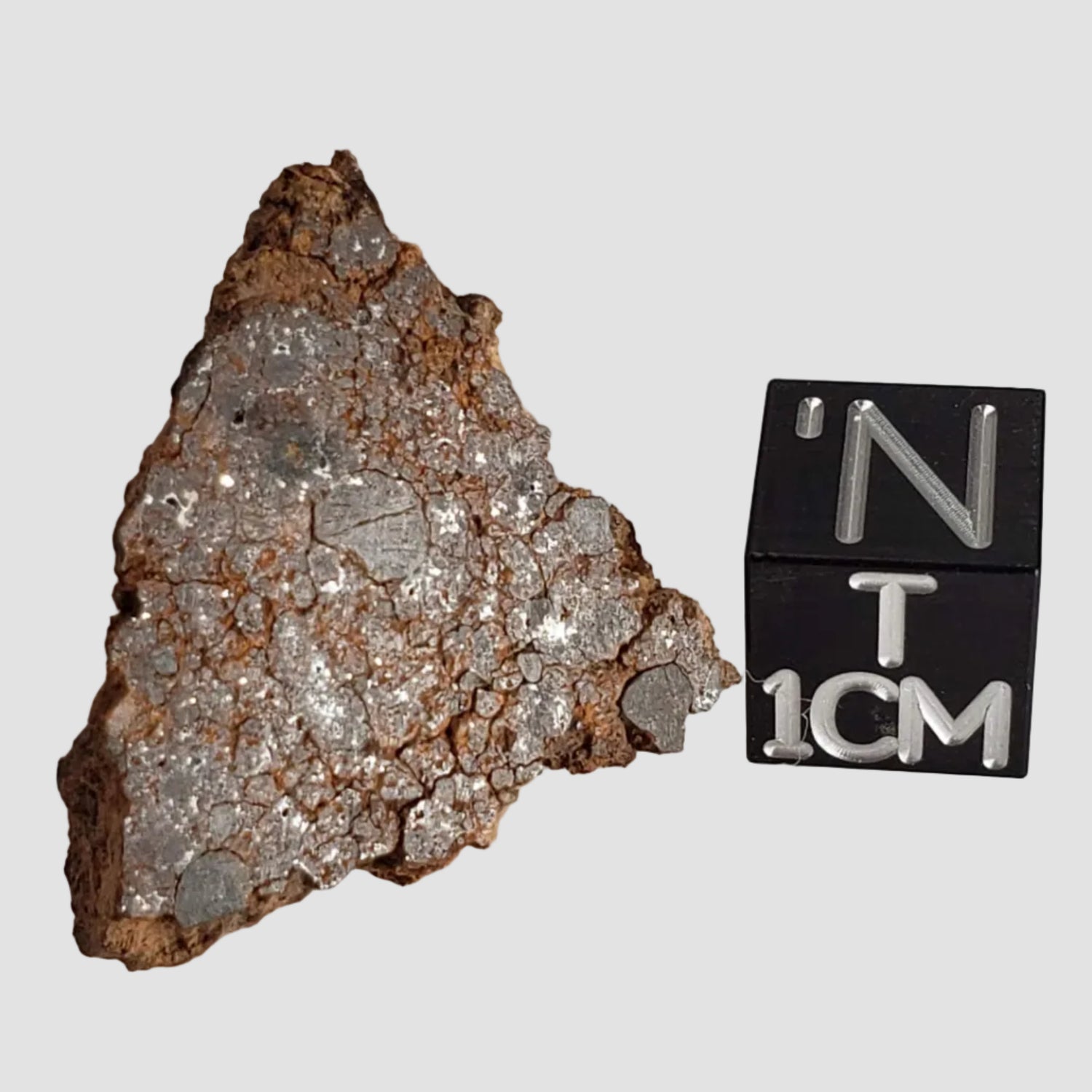 NWA 2849 Meteorite | 5.5 grams | Part Slice | L4 | Low TKW