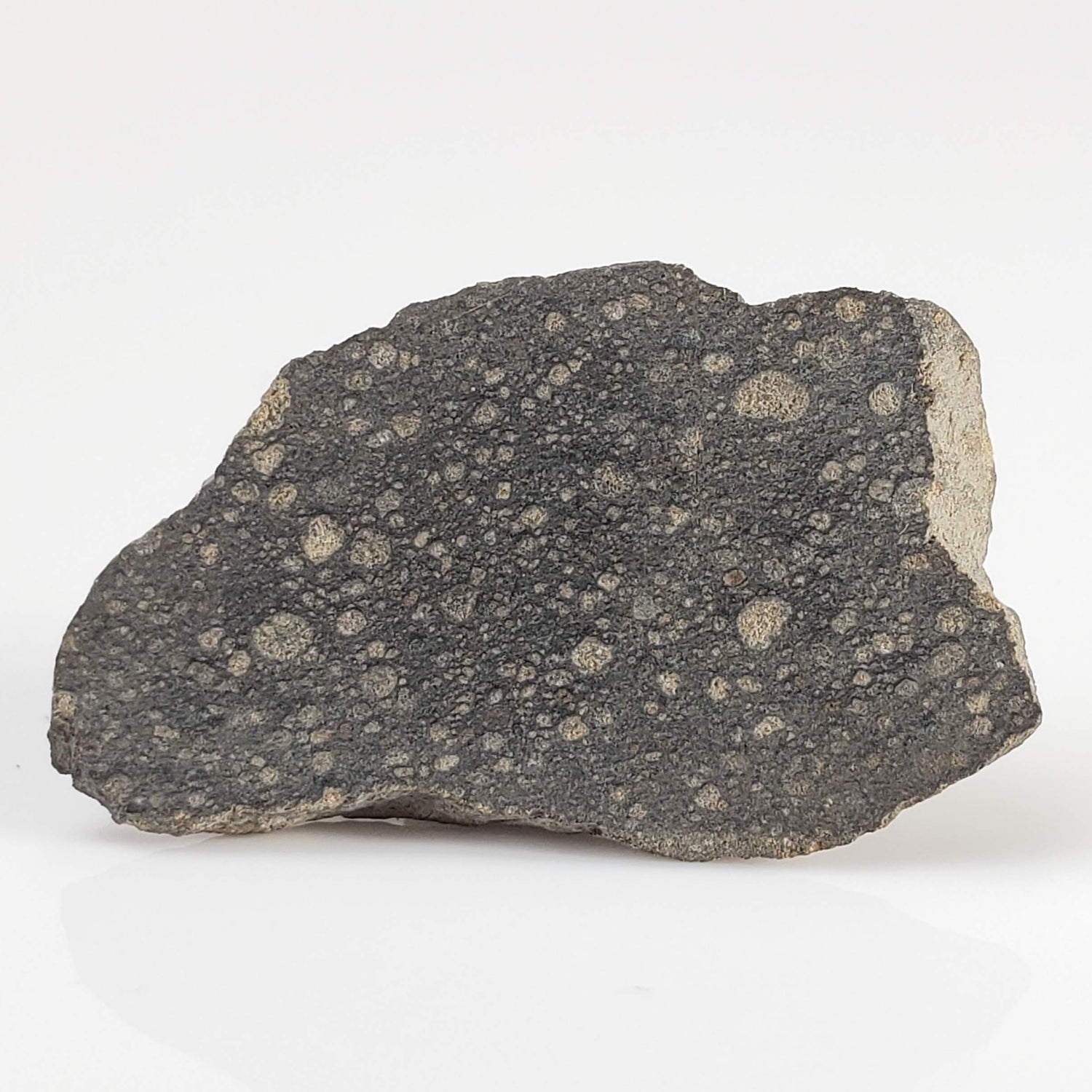 NWA 2229 Meteorite | 2.1 grams | End Cut | Rumurutiite R3.8 | Sahara