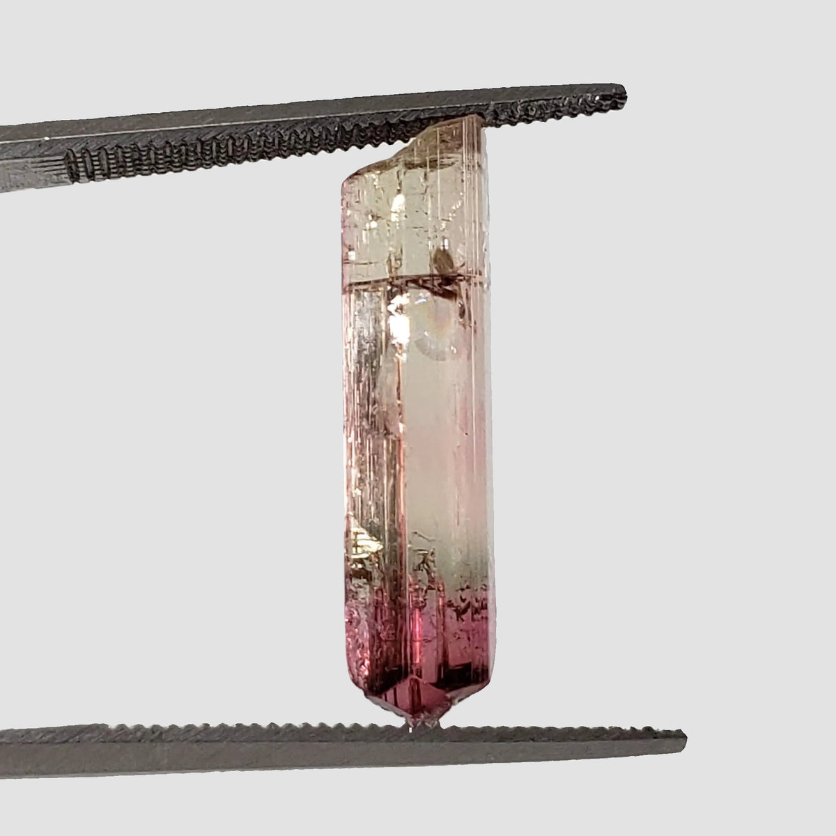 Tourmaline Crystal | Tri-Color | Perky Box Specimen | Coronel Murta, Minas Gerais, Brazil