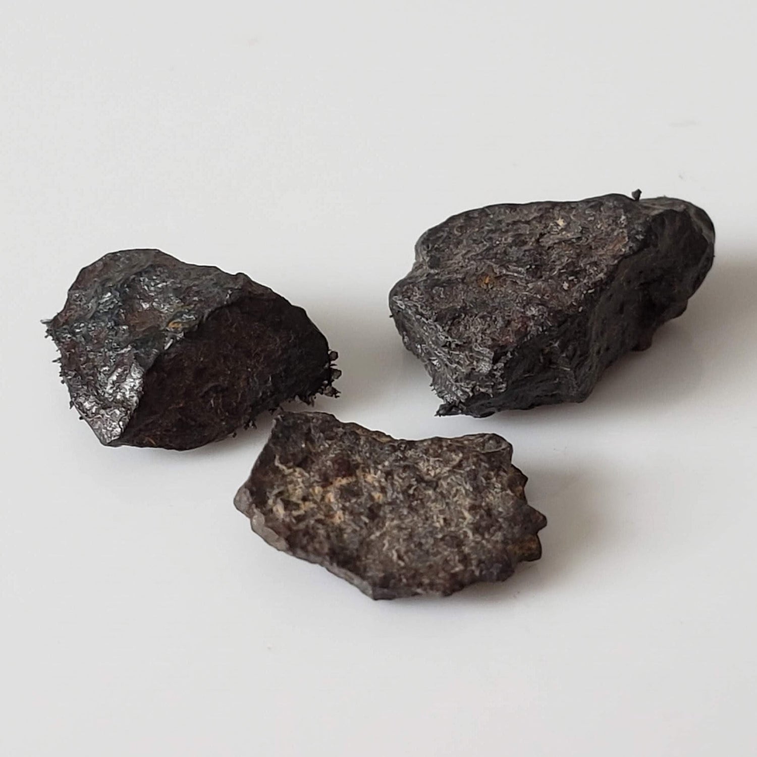 Canyon Diablo Meteorite | Micro | Iron IAB-MG | Arizona U.S.A.