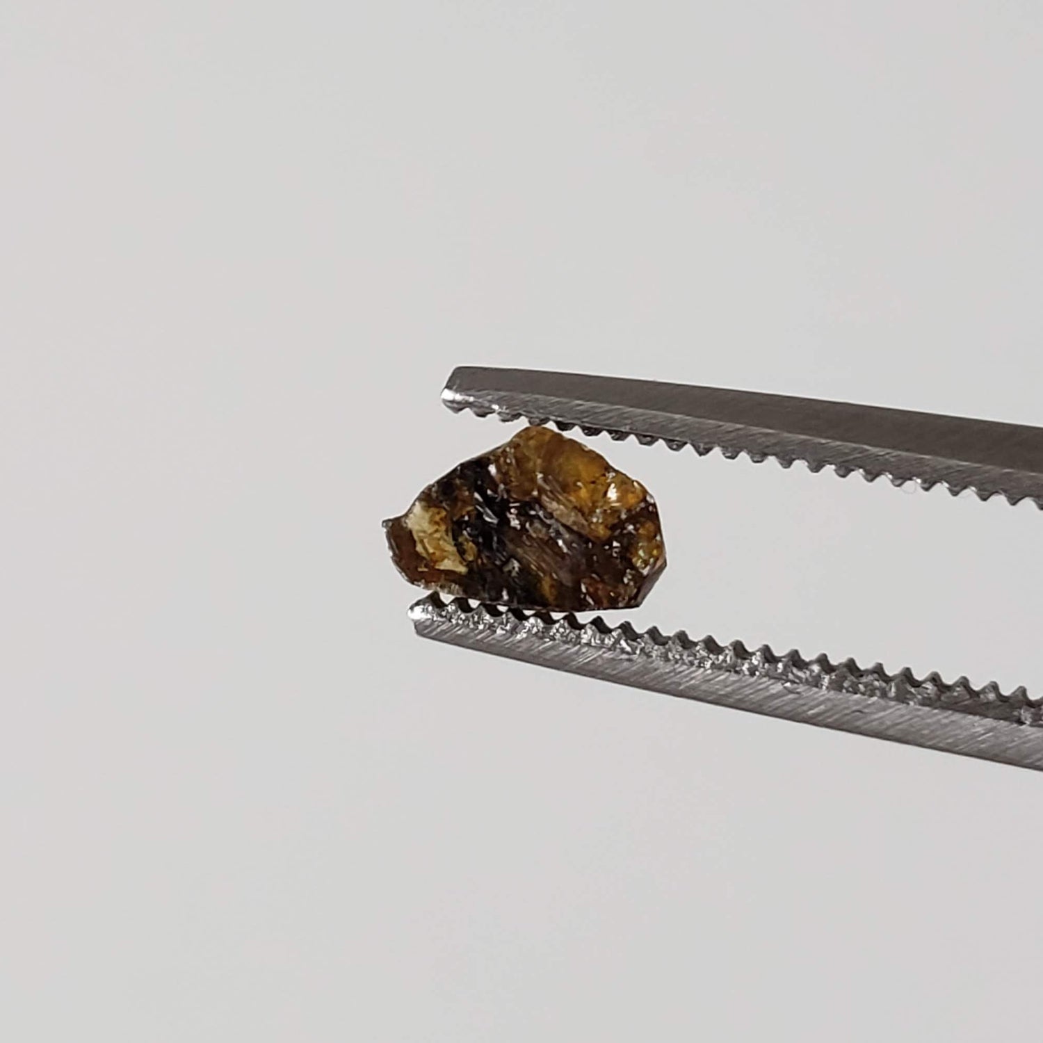 Esquel Pallasite Meteorite Crystal | Micro | Pallasite Stony Iron | Rare | Argentina