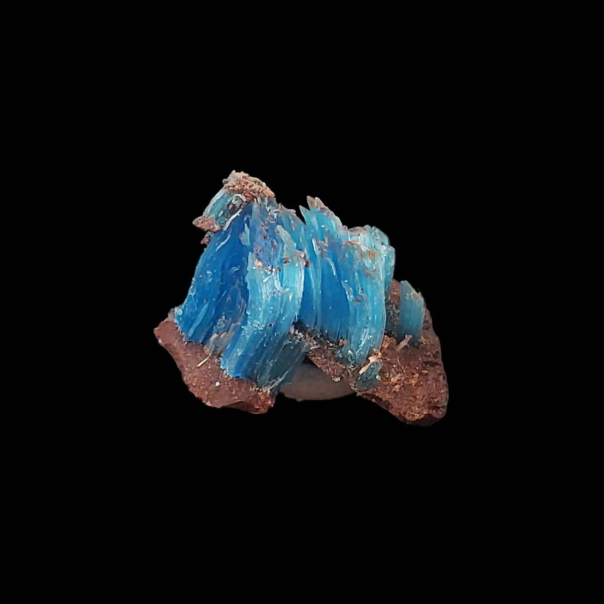 Chalcanthite Crystal | Perky Box Thumbnail Specimen | Planet Mine, Arizona