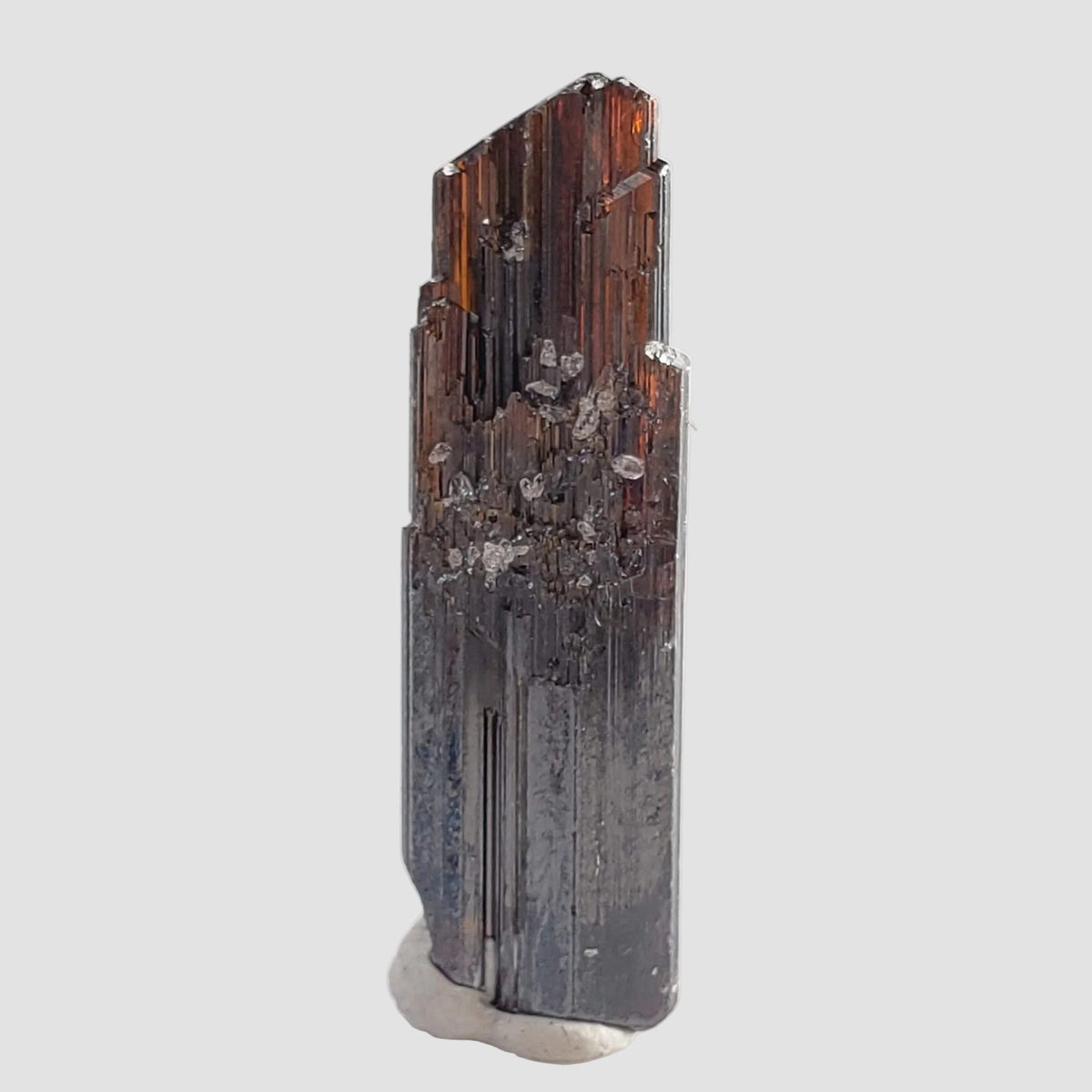 Cristal de rutile | Spécimen en boîte Perky | Diamantina, Minas Gerais, Brésil