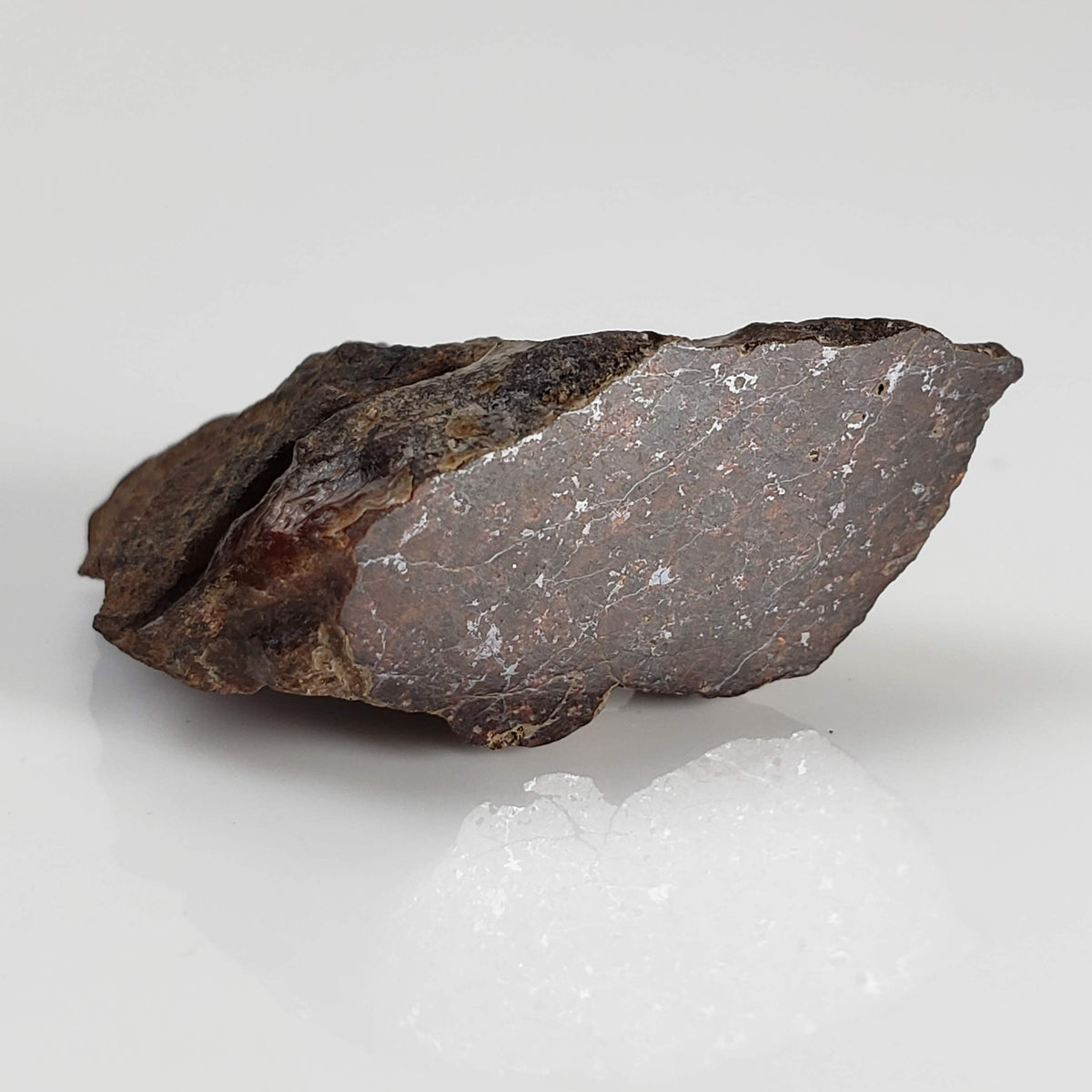 Météorite Shişr 010 | 6.1 Grammes | Section d’extrémité | Chondrite L5 | Rare | Désert de Shişr, Oman