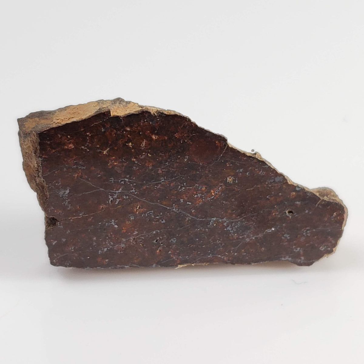 Shişr 010 Meteorite | 4.69 Grams | Part Slice | L5 Chondrite | Rare | Shişr Desert, Oman