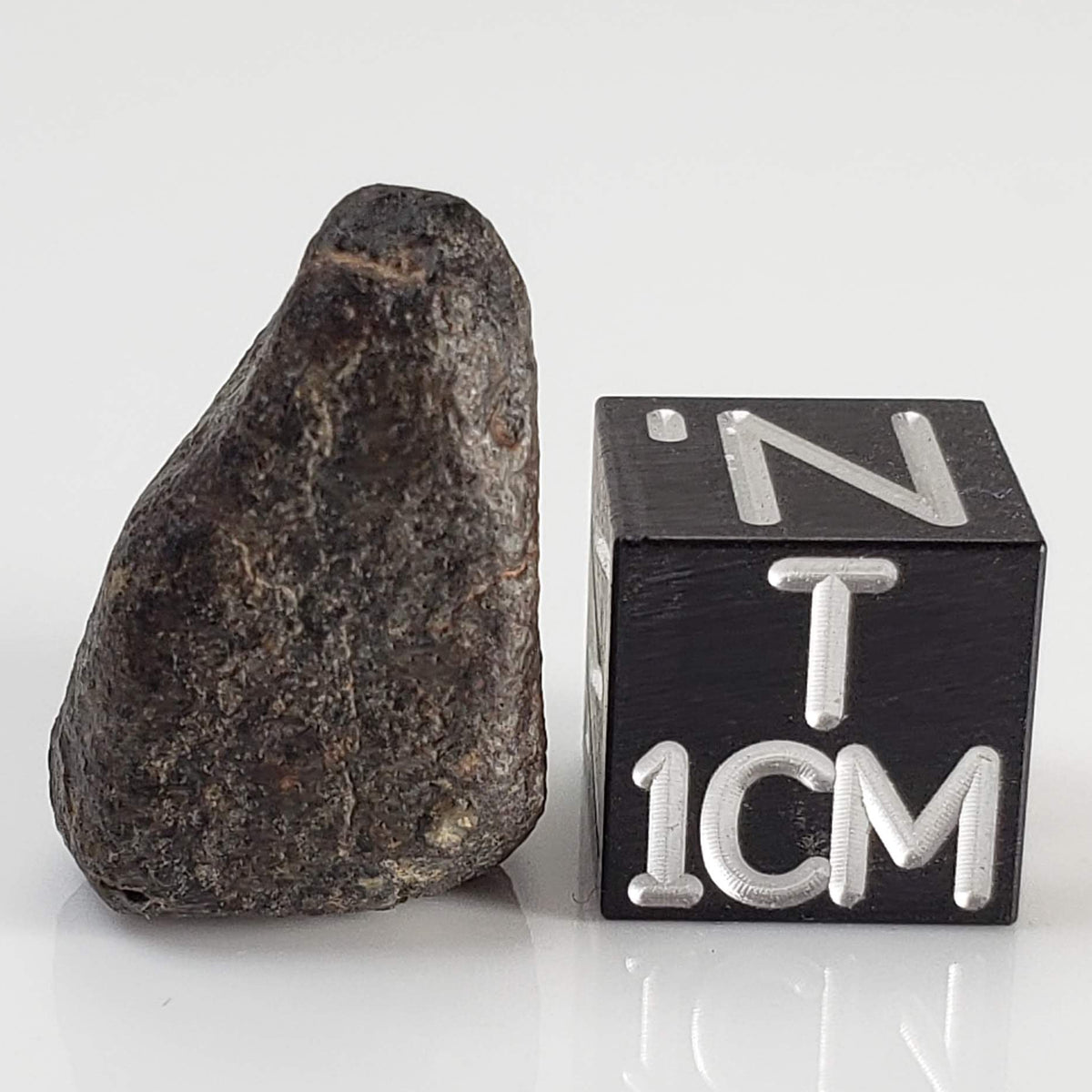 Météorite NWA 869 | 4,5 g | Individu | Chondrite L3-6 | Spécimen croûté