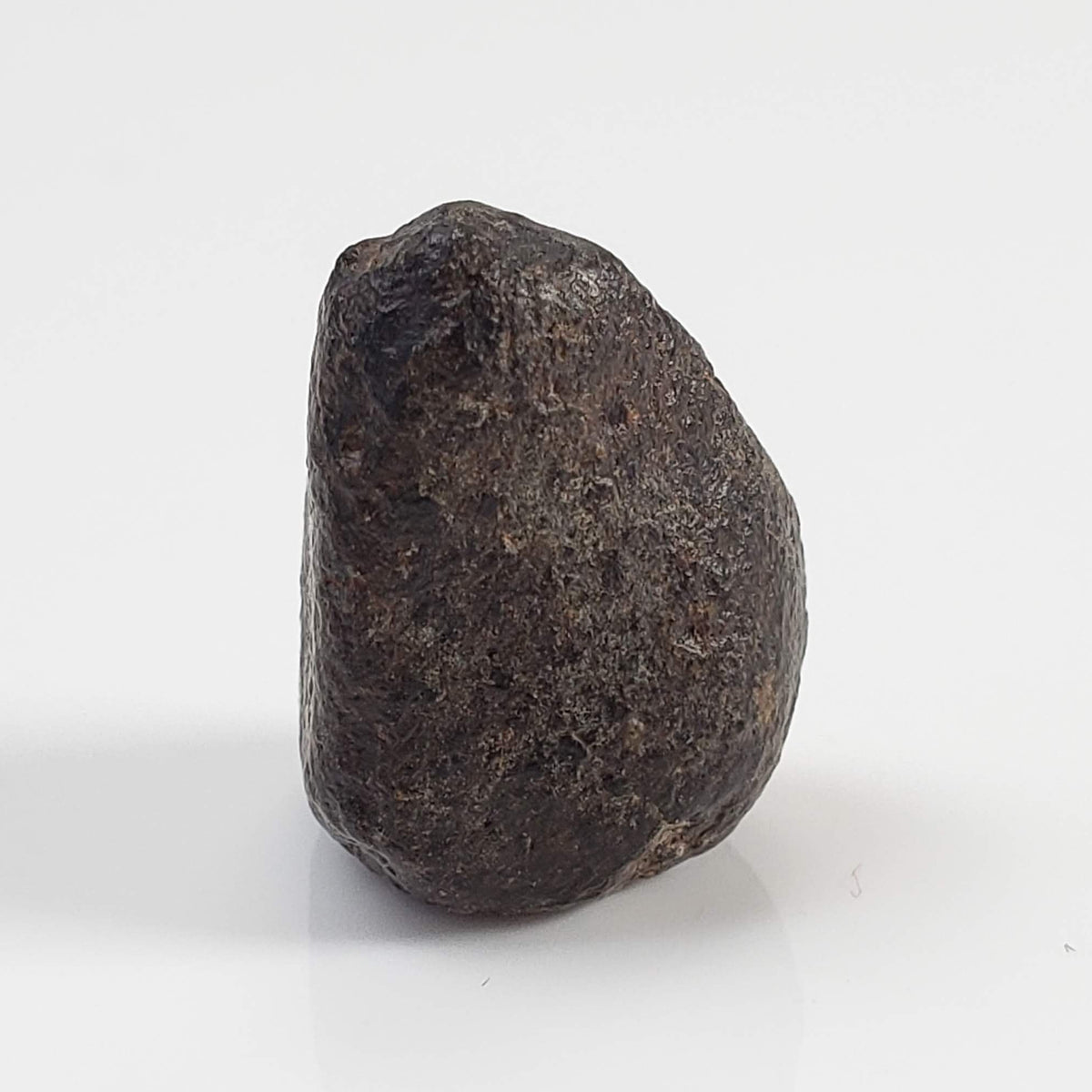 Météorite NWA 869 | 4,5 g | Individu | Chondrite L3-6 | Spécimen croûté