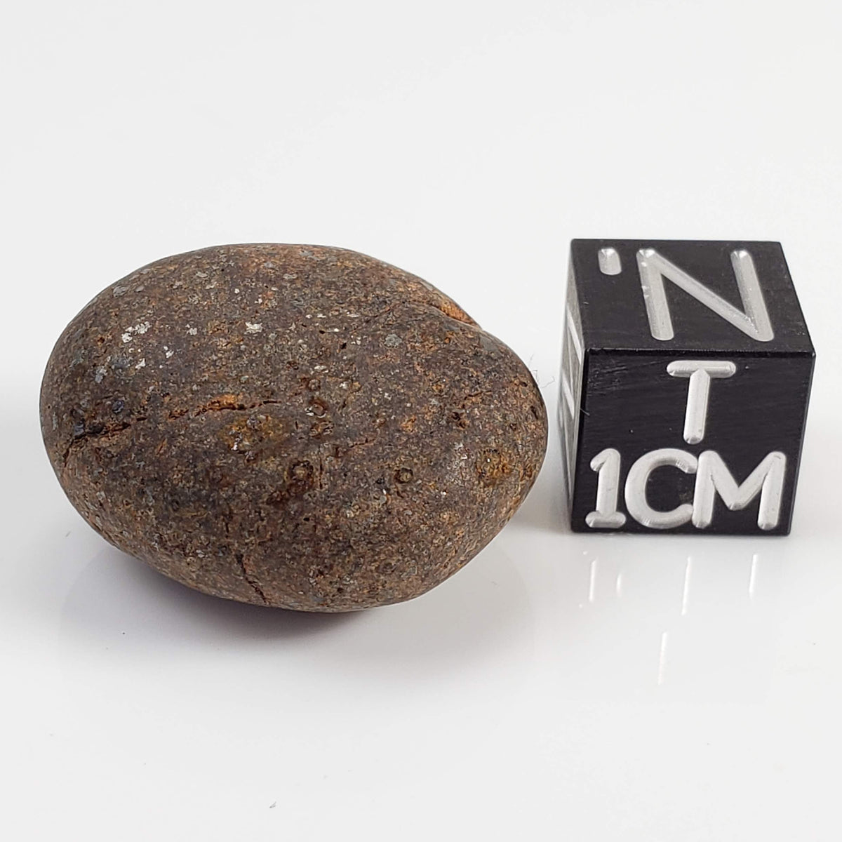 Northwest Africa NWA Meteorite | 9 Grams | Individual | Tumbled Meteorite | Sahara
