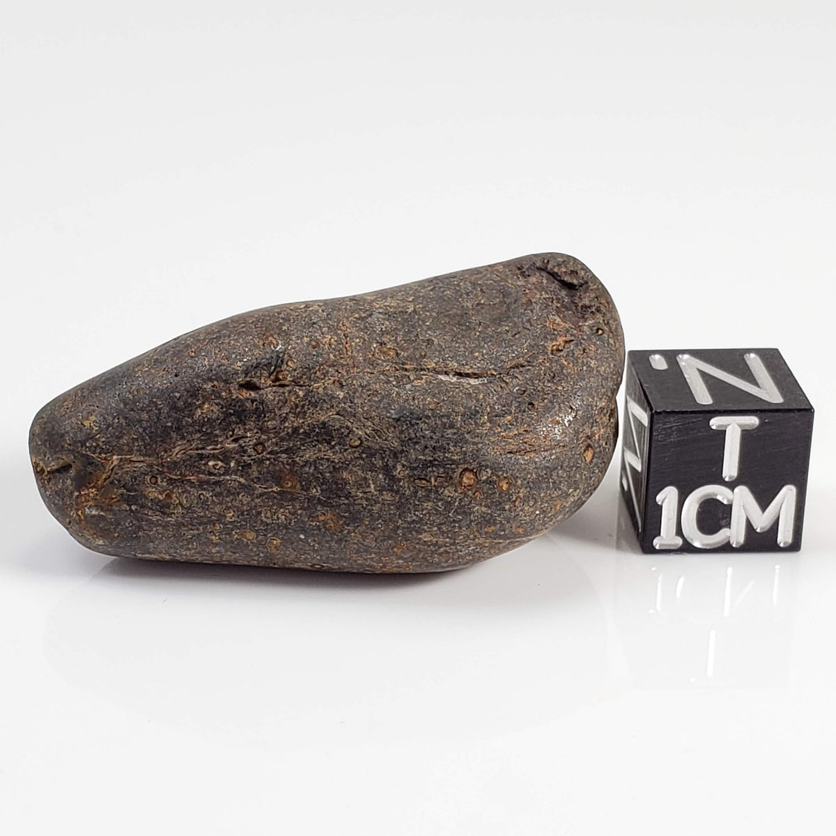 Northwest Africa NWA Meteorite | 23.5 Grams | Individual | Tumbled Meteorite | Sahara