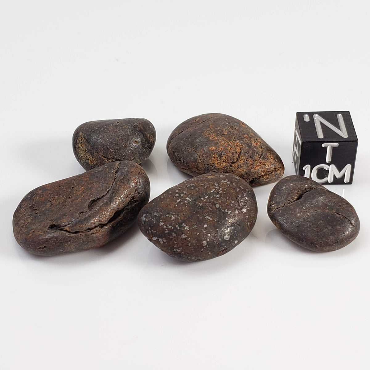 Météorite du nord-ouest de l’Afrique NWA | Lot de 5 pièces | 26 grammes | Individus polis | Sahara
