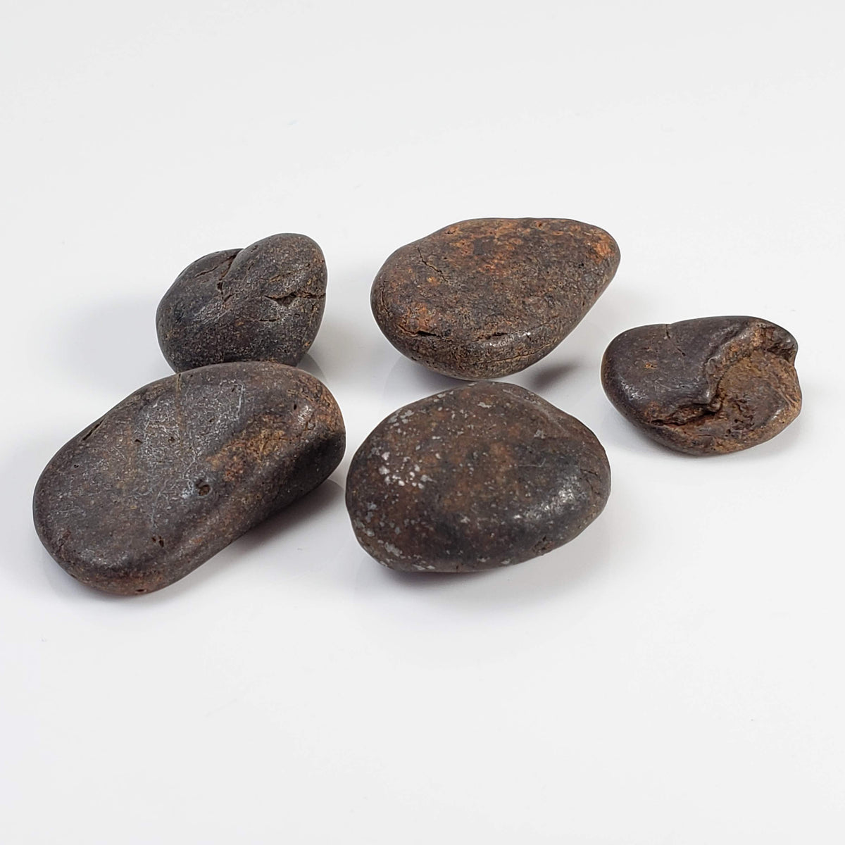 Météorite du nord-ouest de l’Afrique NWA | Lot de 5 pièces | 26 grammes | Individus polis | Sahara