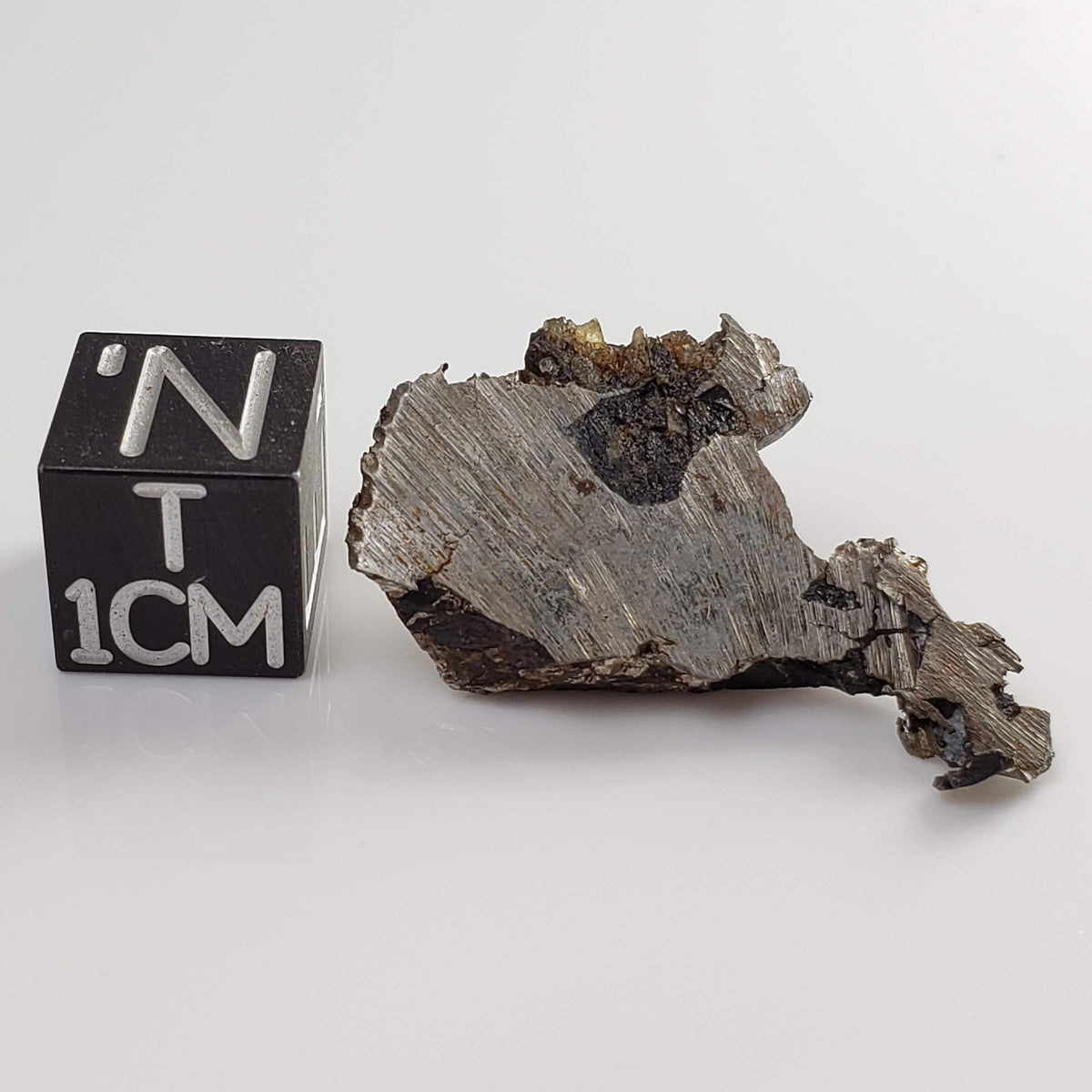 Seymchan Meteorite | 5.87 gr | Part Slice | Olivine Crystals | Pallasite PMG | Russia
